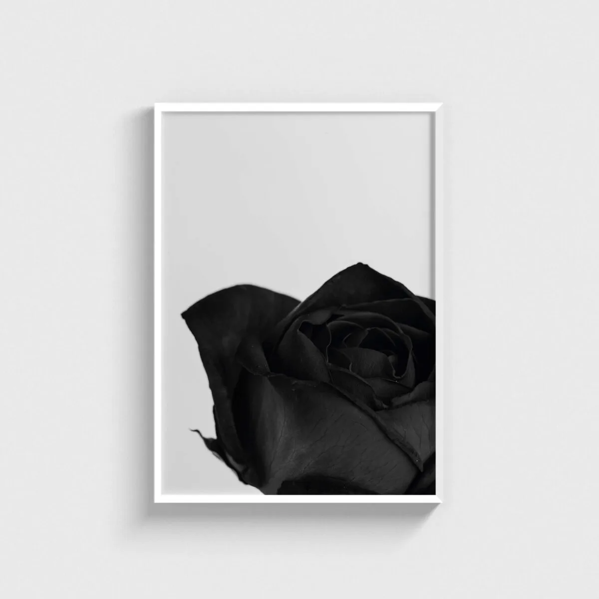 Black Rose