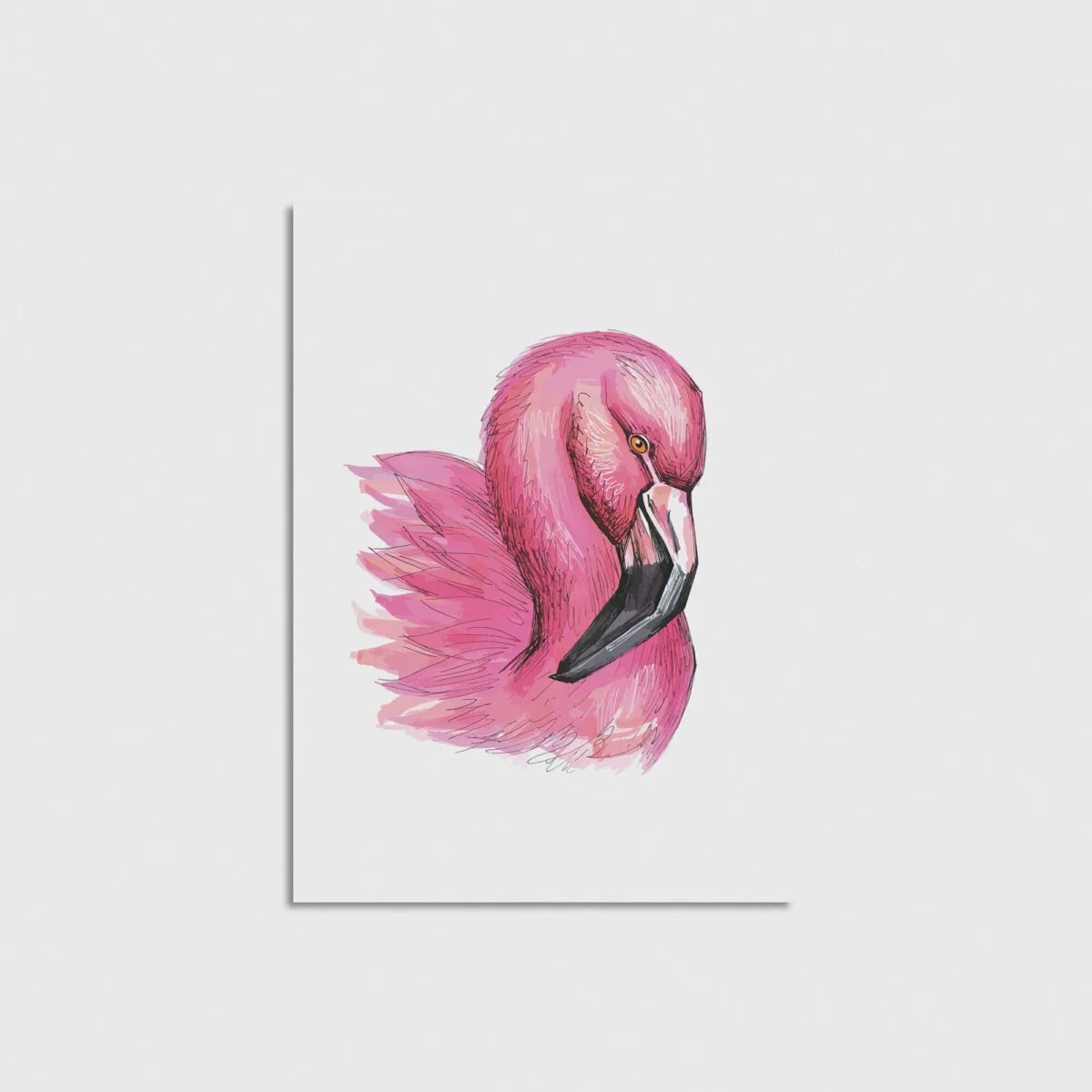 Flamingo - Görsel 3