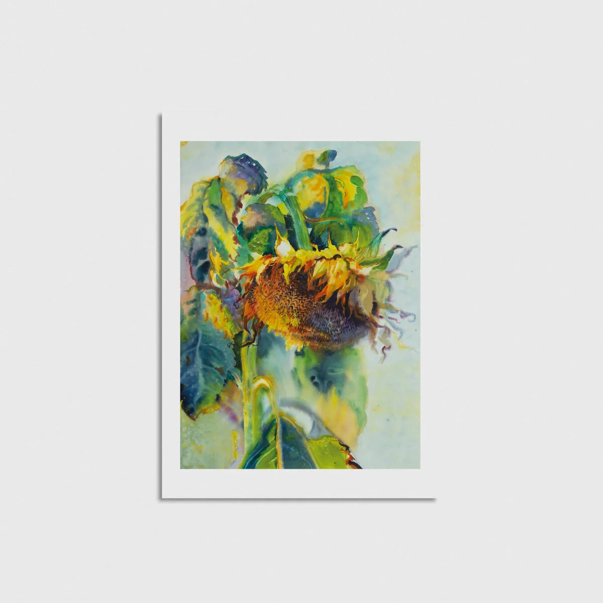 Sunflower - Görsel 3