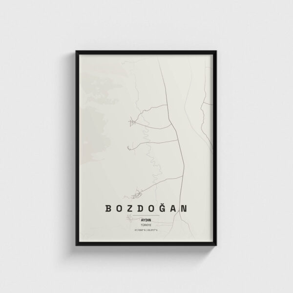 Aydın Bozdoğan İlçe Haritası Posteri