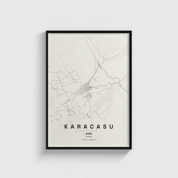 Aydın Karacasu İlçe Haritası Posteri