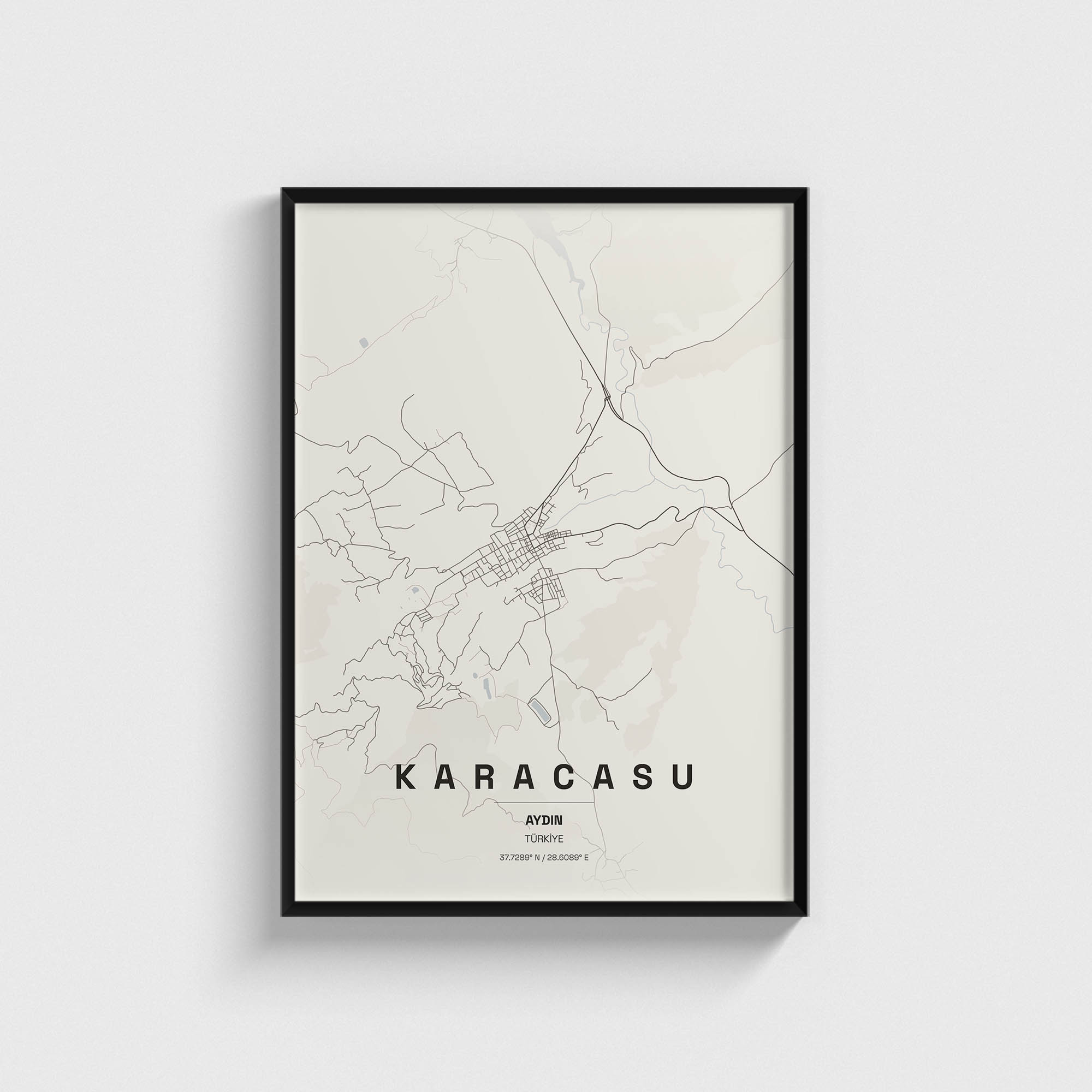 Aydın Karacasu İlçe Haritası Posteri