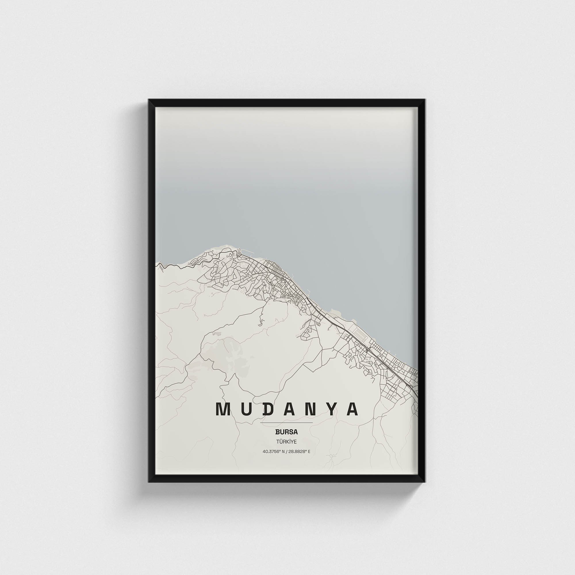 Bursa Mudanya İlçe Haritası Posteri