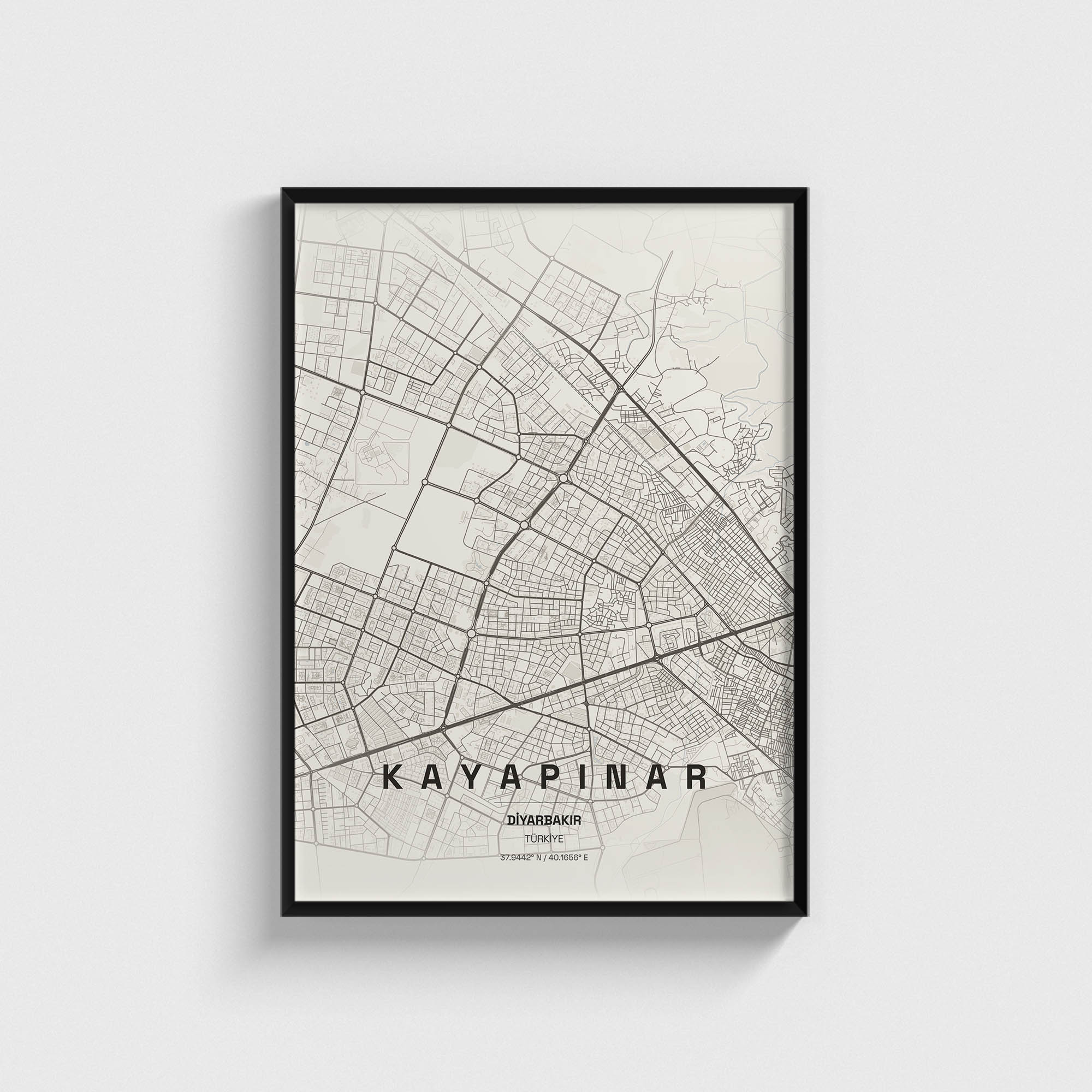 Diyarbakır Kayapınar İlçe Haritası Posteri