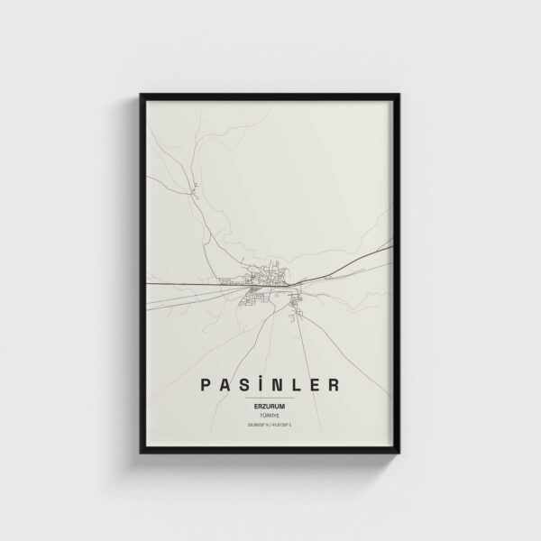 Erzurum Pasinler İlçe Haritası Posteri