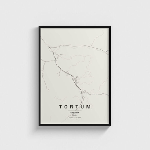 Erzurum Tortum İlçe Haritası Posteri