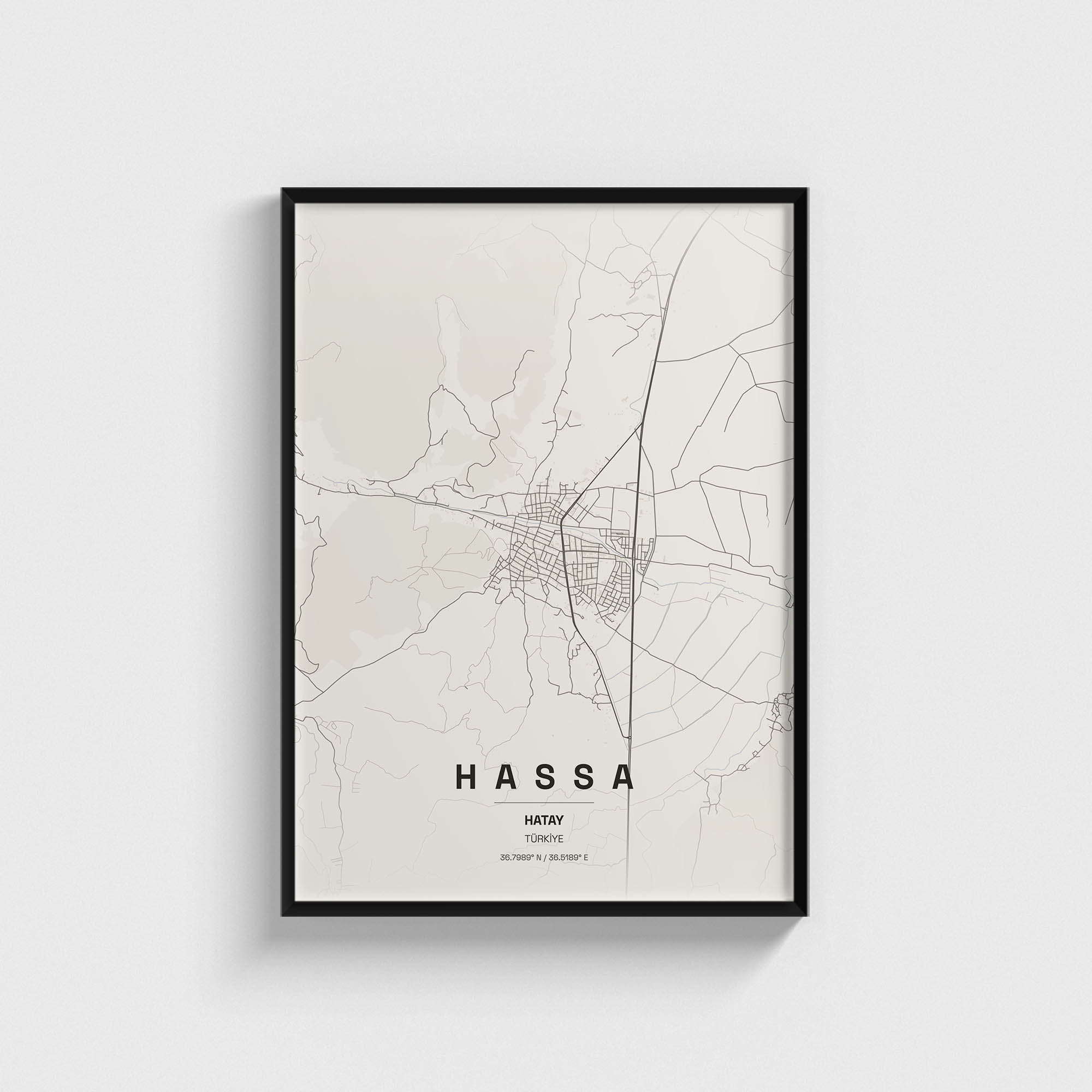 Hatay Hassa İlçe Haritası Posteri