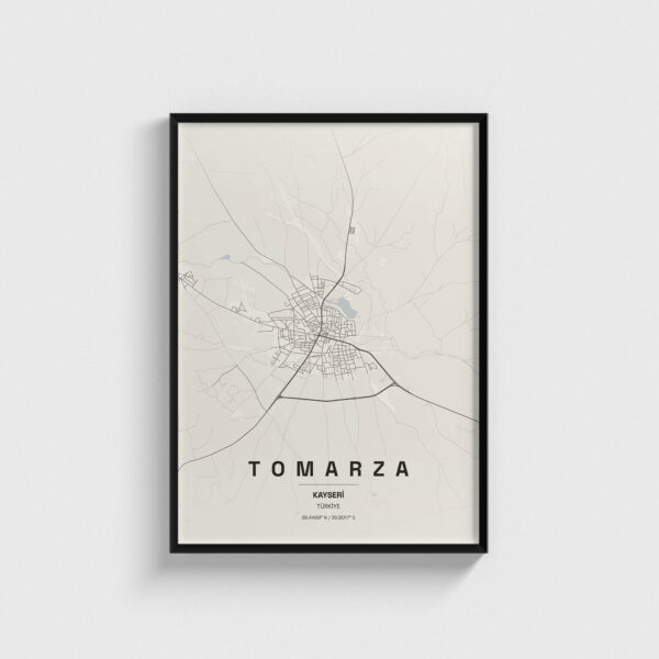 Kayseri Tomarza İlçe Haritası Posteri