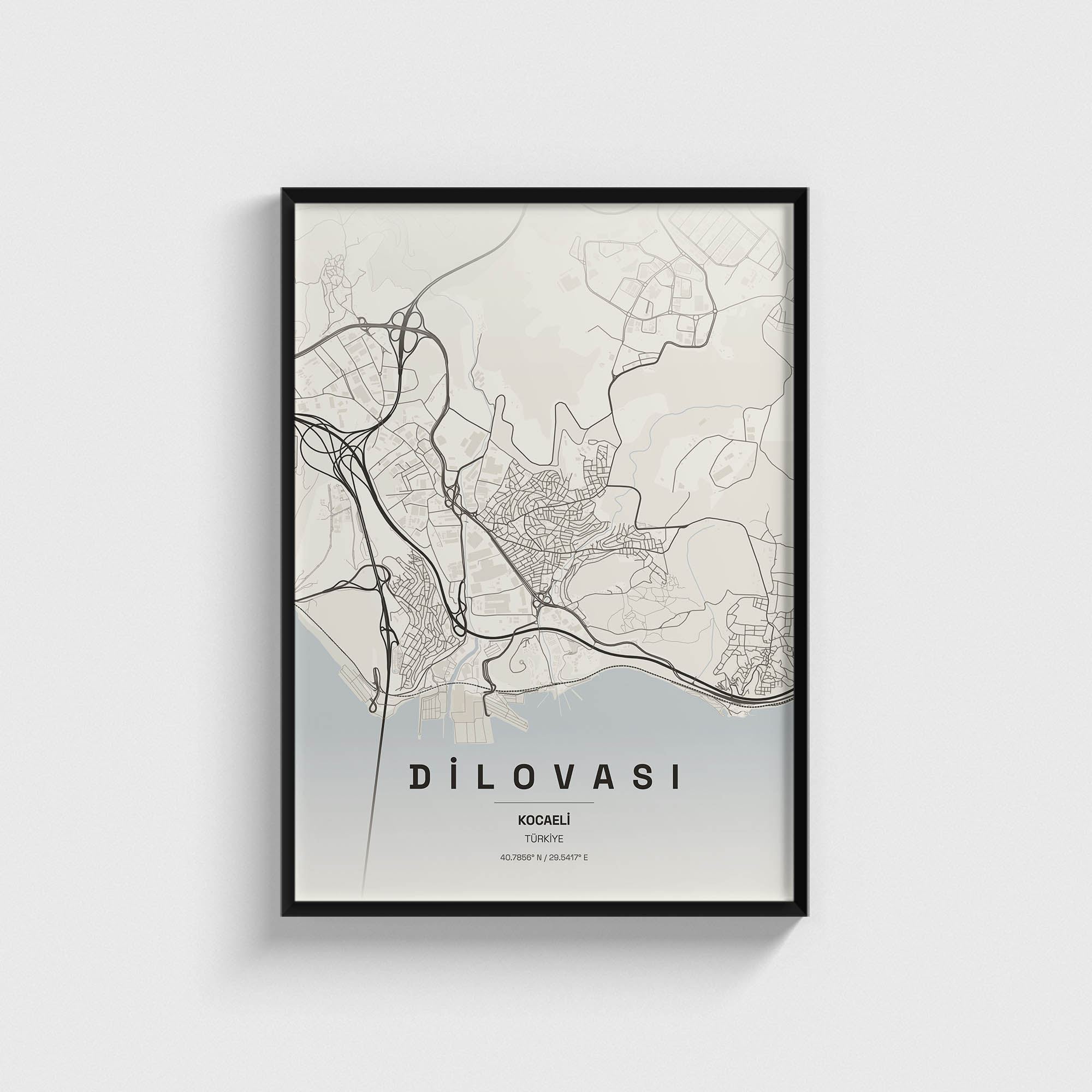 Kocaeli Dilovası İlçe Haritası Posteri