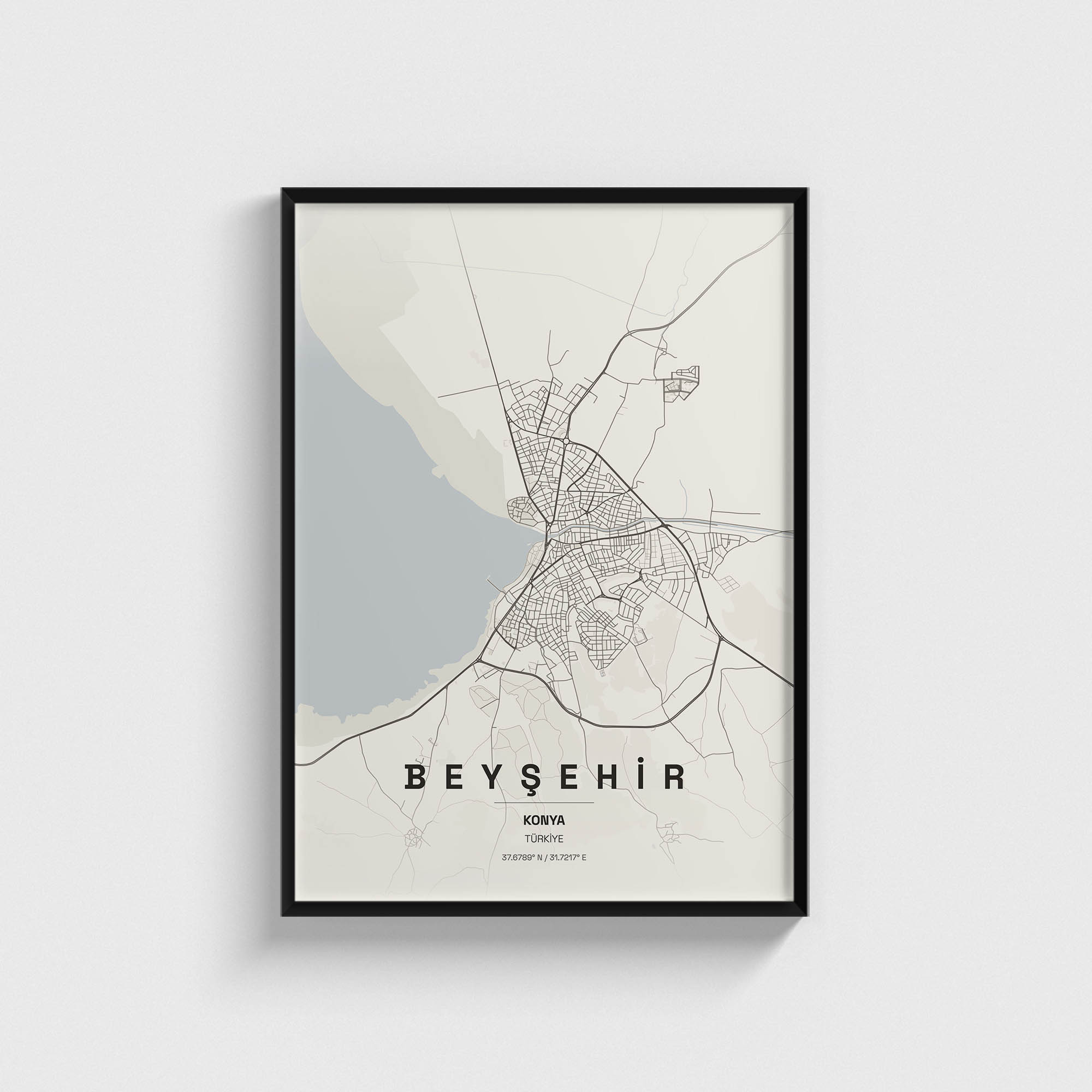 Konya Beyşehir İlçe Haritası Posteri