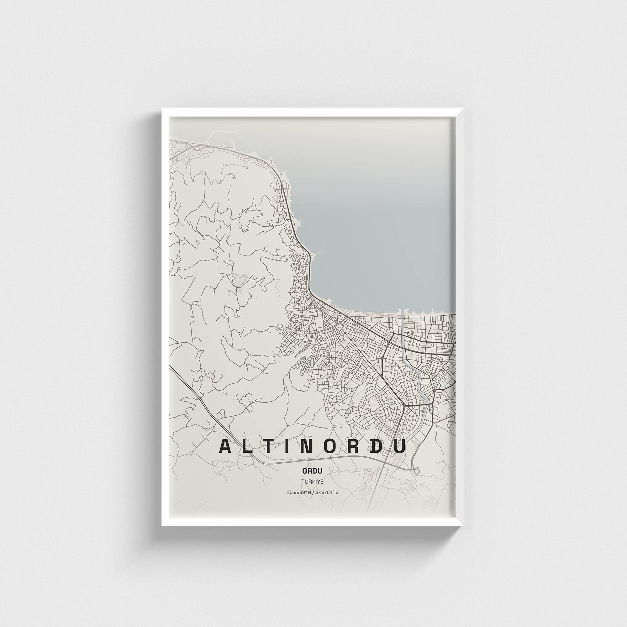 Ordu Altınordu İlçe Haritası Posteri - Görsel 2