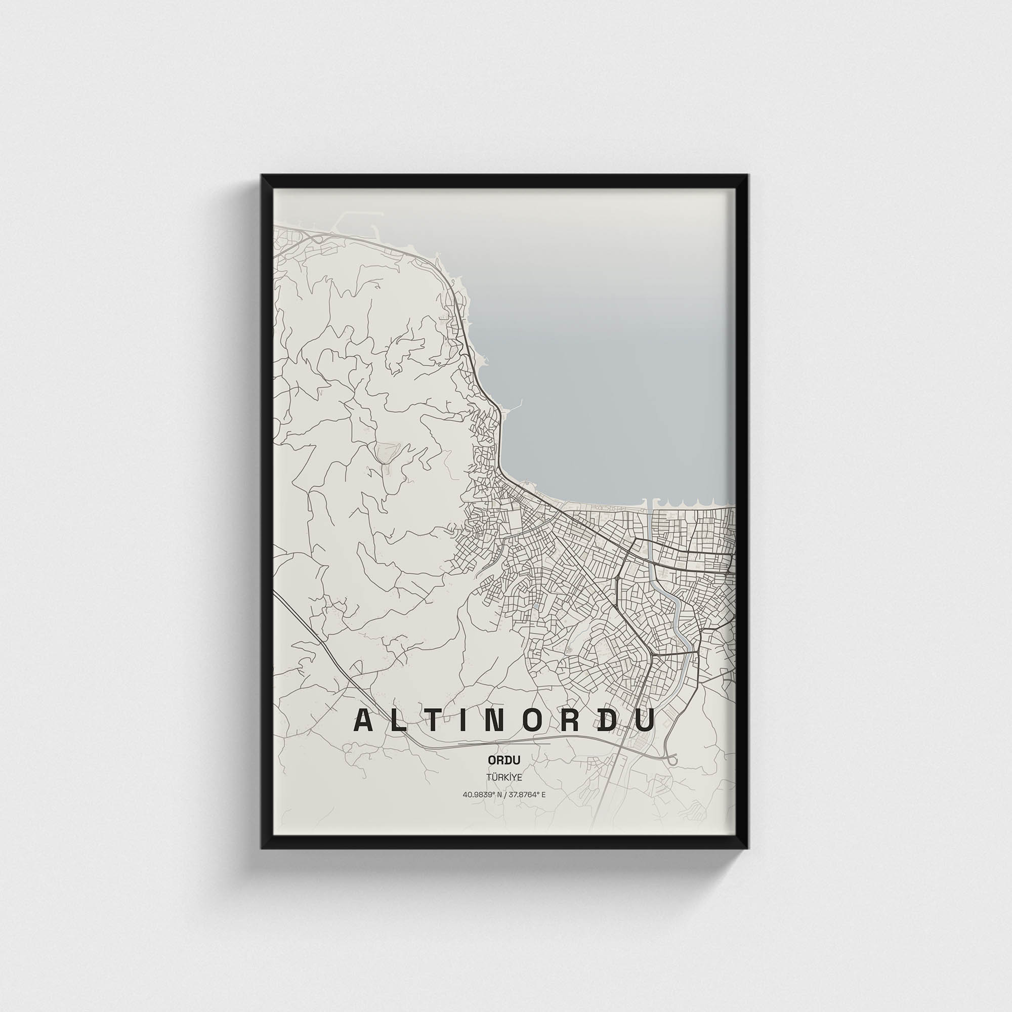 Ordu Altınordu İlçe Haritası Posteri