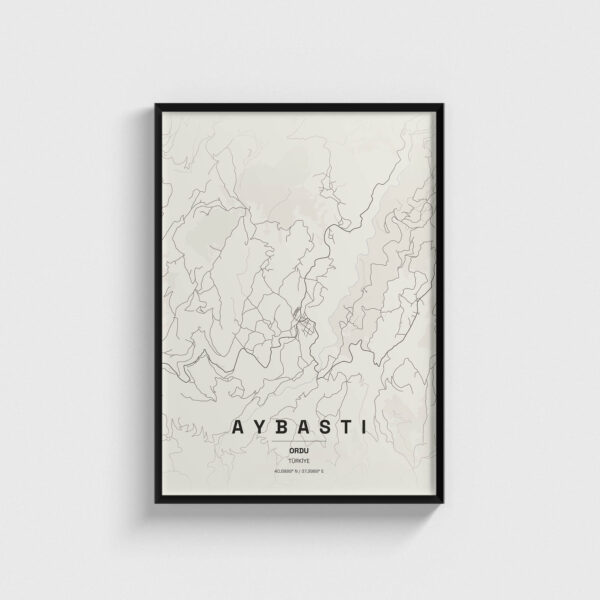 Ordu Aybastı İlçe Haritası Posteri