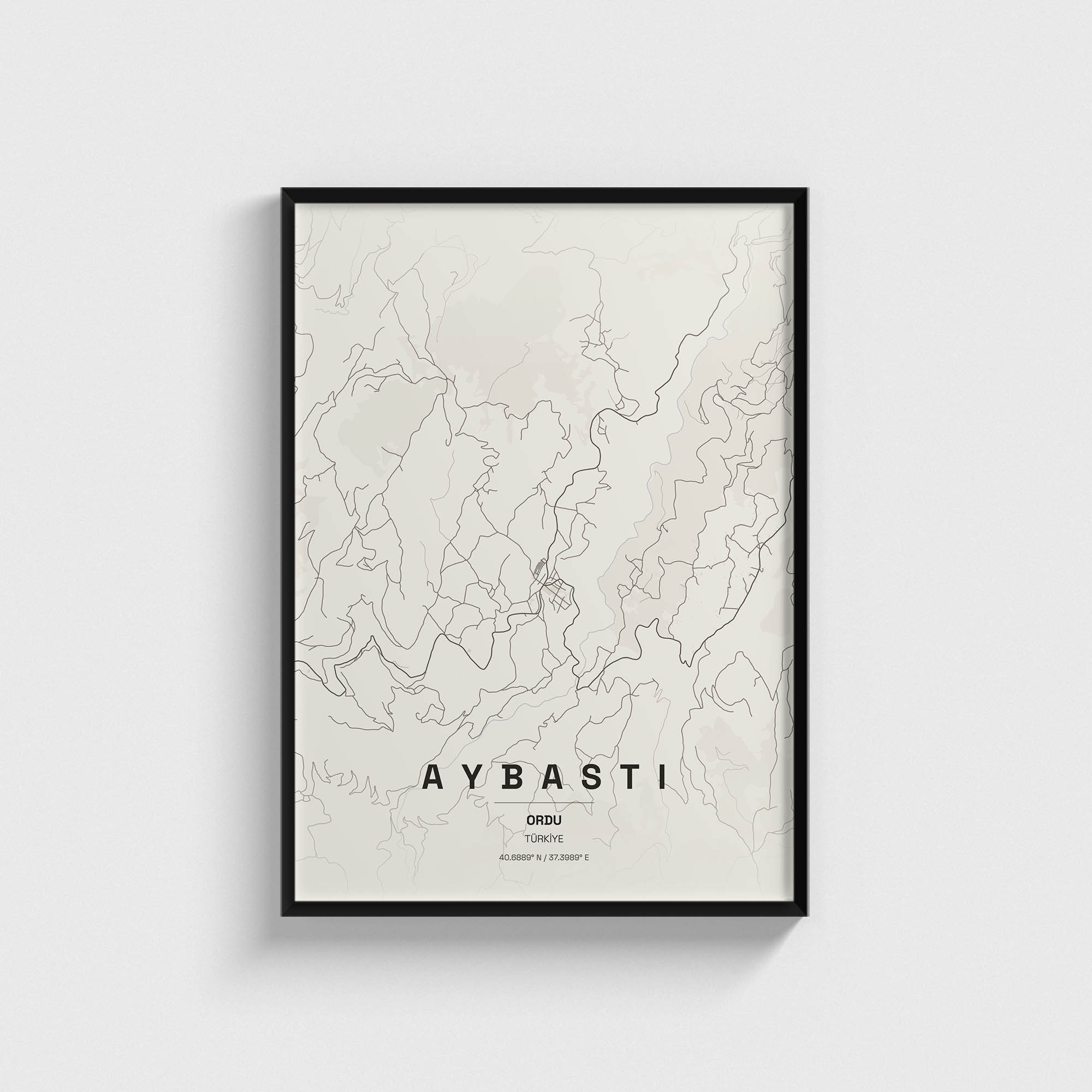 Ordu Aybastı İlçe Haritası Posteri
