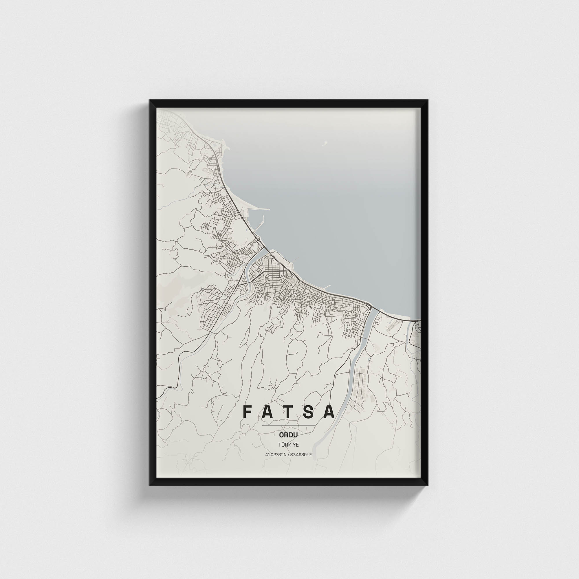 Ordu Fatsa İlçe Haritası Posteri