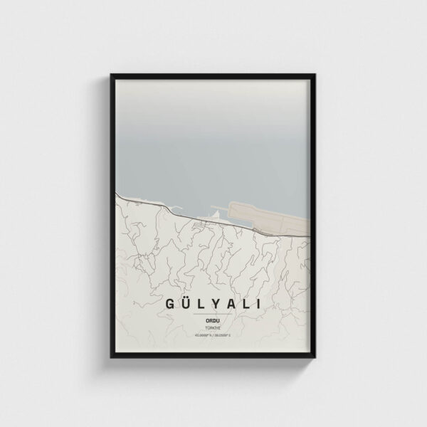 Ordu Gülyalı İlçe Haritası Posteri