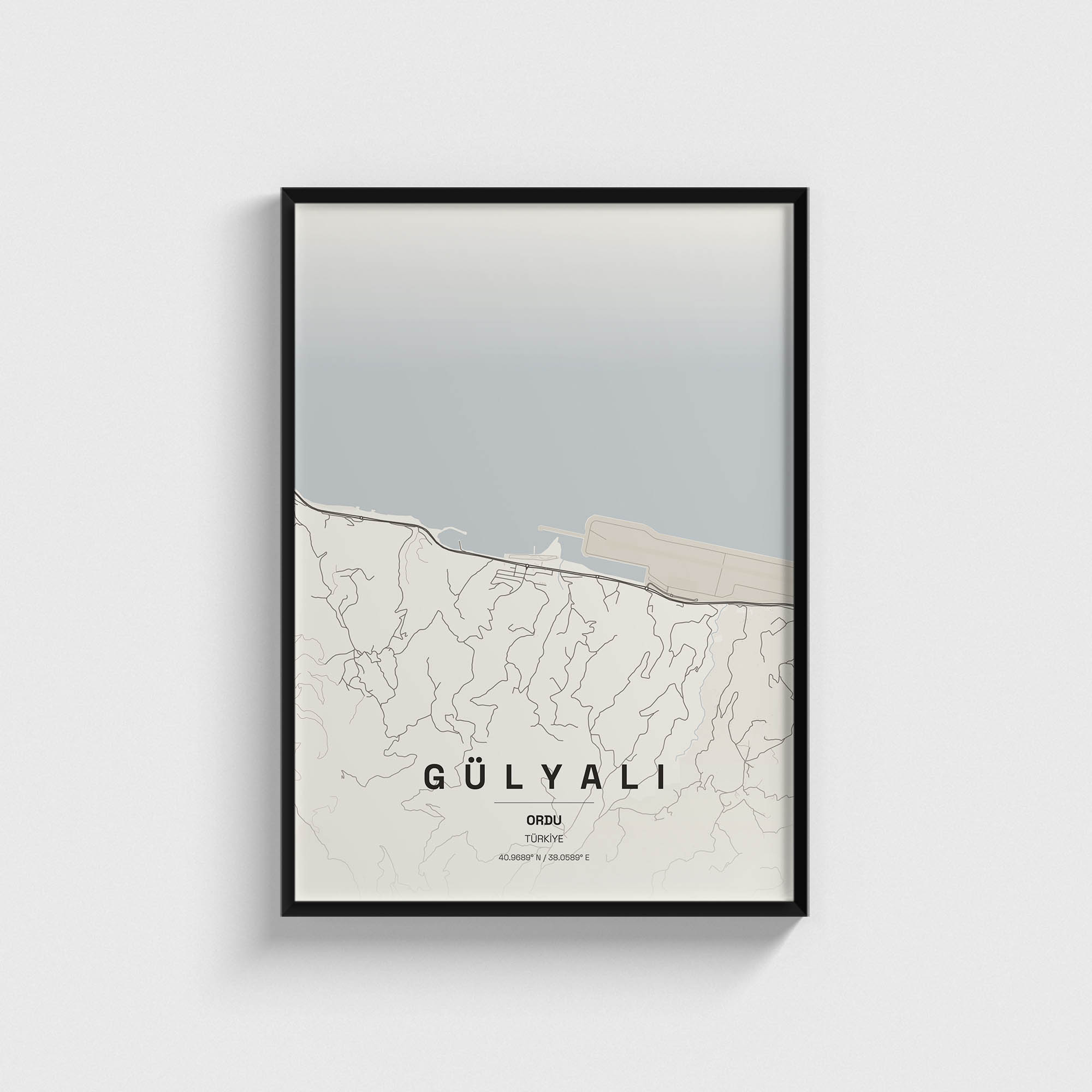Ordu Gülyalı İlçe Haritası Posteri
