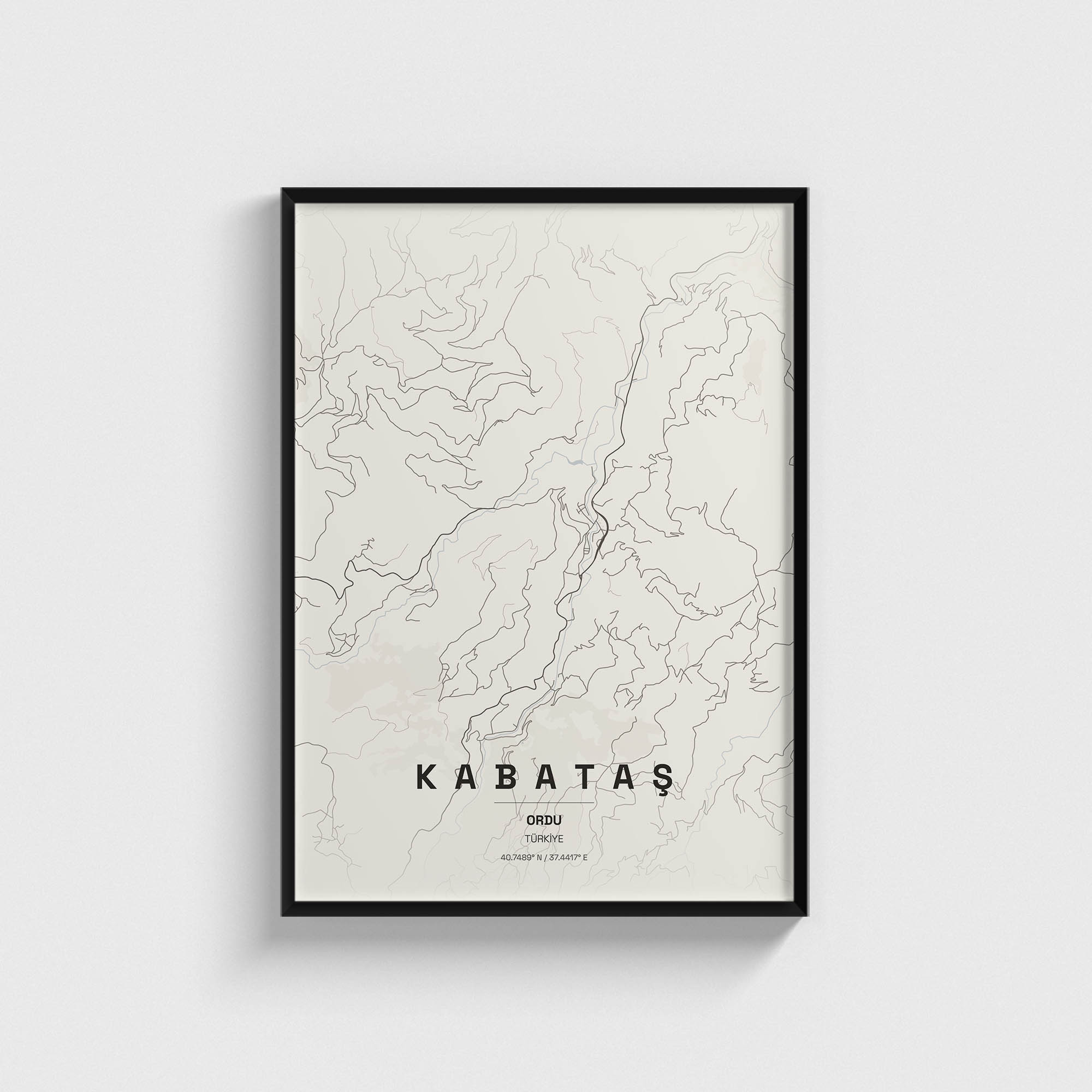Ordu Kabataş İlçe Haritası Posteri