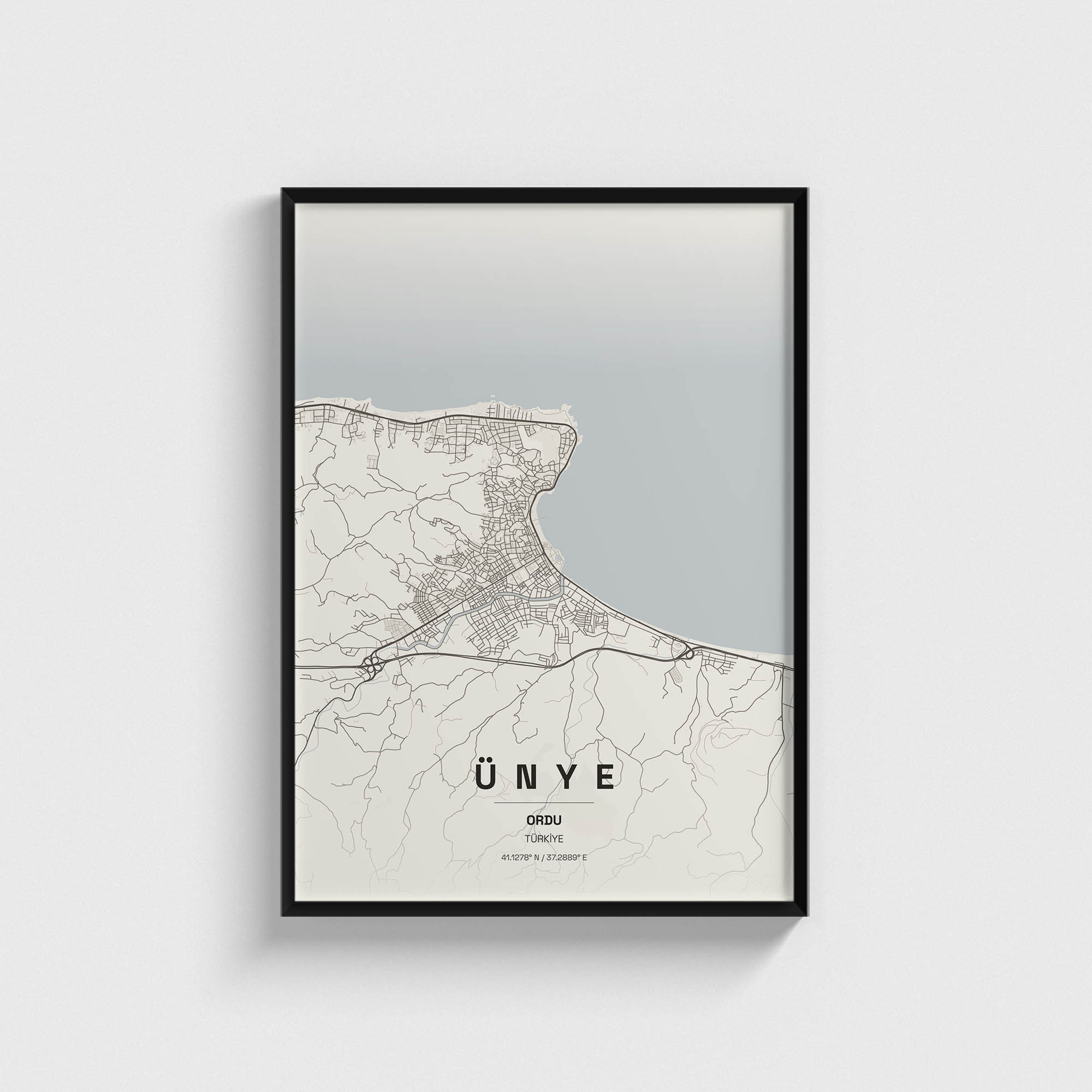 Ordu Ünye İlçe Haritası Posteri