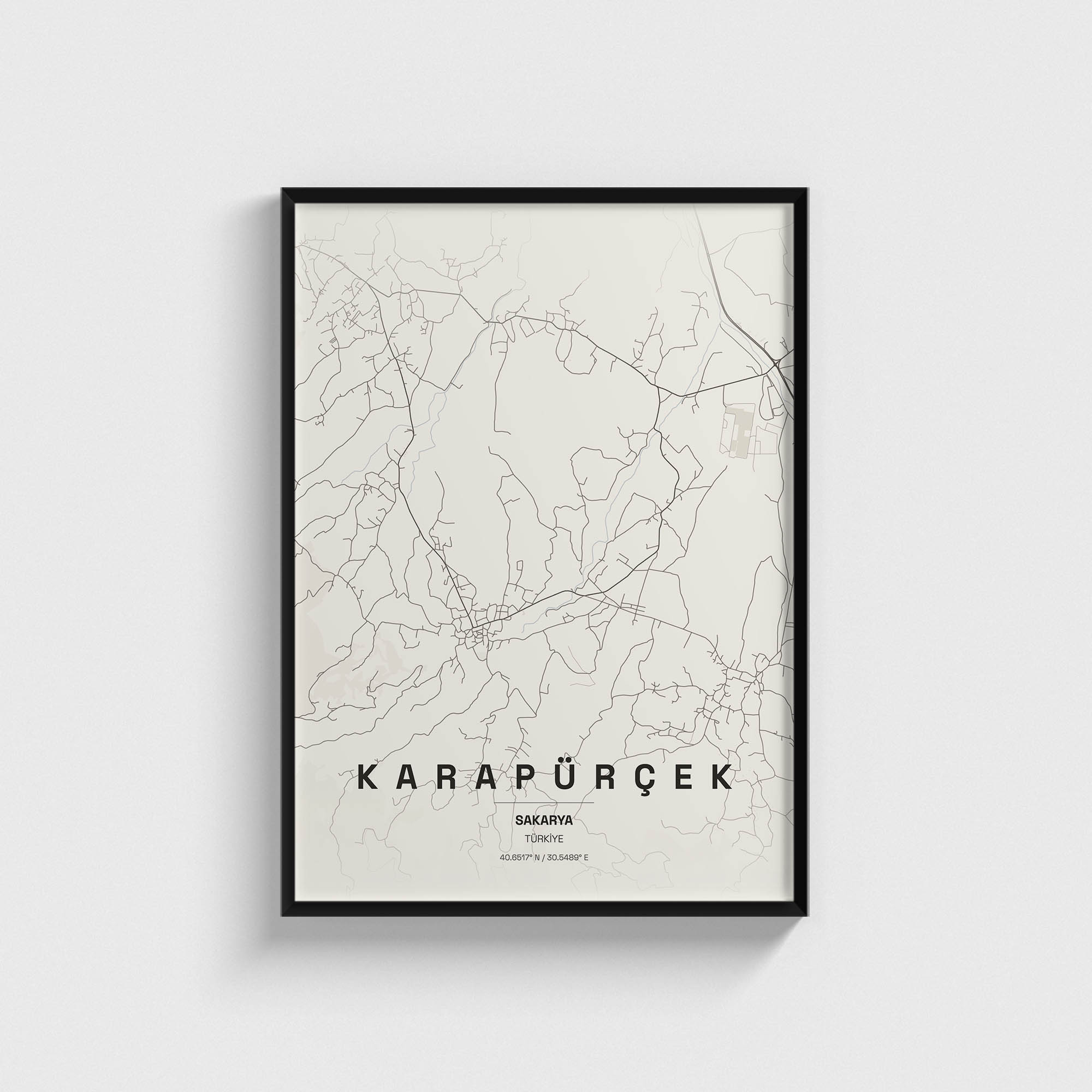 Sakarya Karapürçek İlçe Haritası Posteri