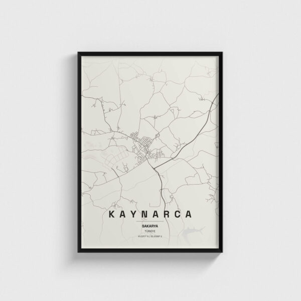 Sakarya Kaynarca İlçe Haritası Posteri