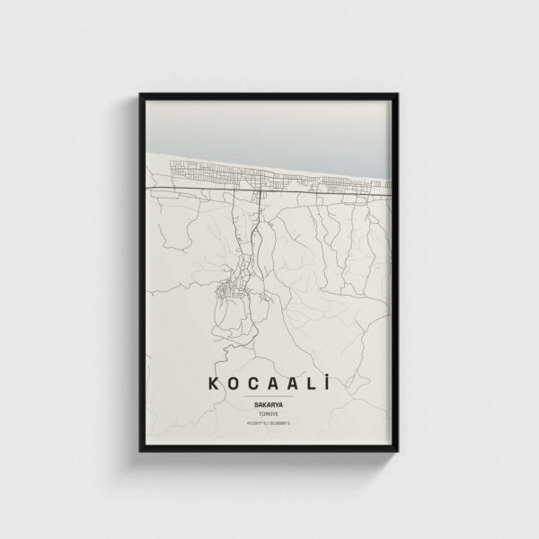 Sakarya Kocaali İlçe Haritası Posteri