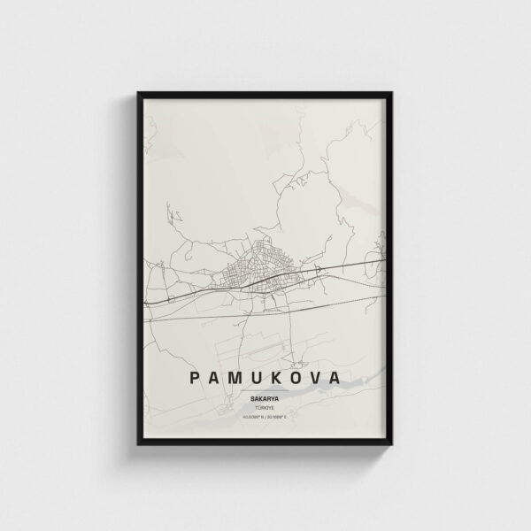 Sakarya Pamukova İlçe Haritası Posteri