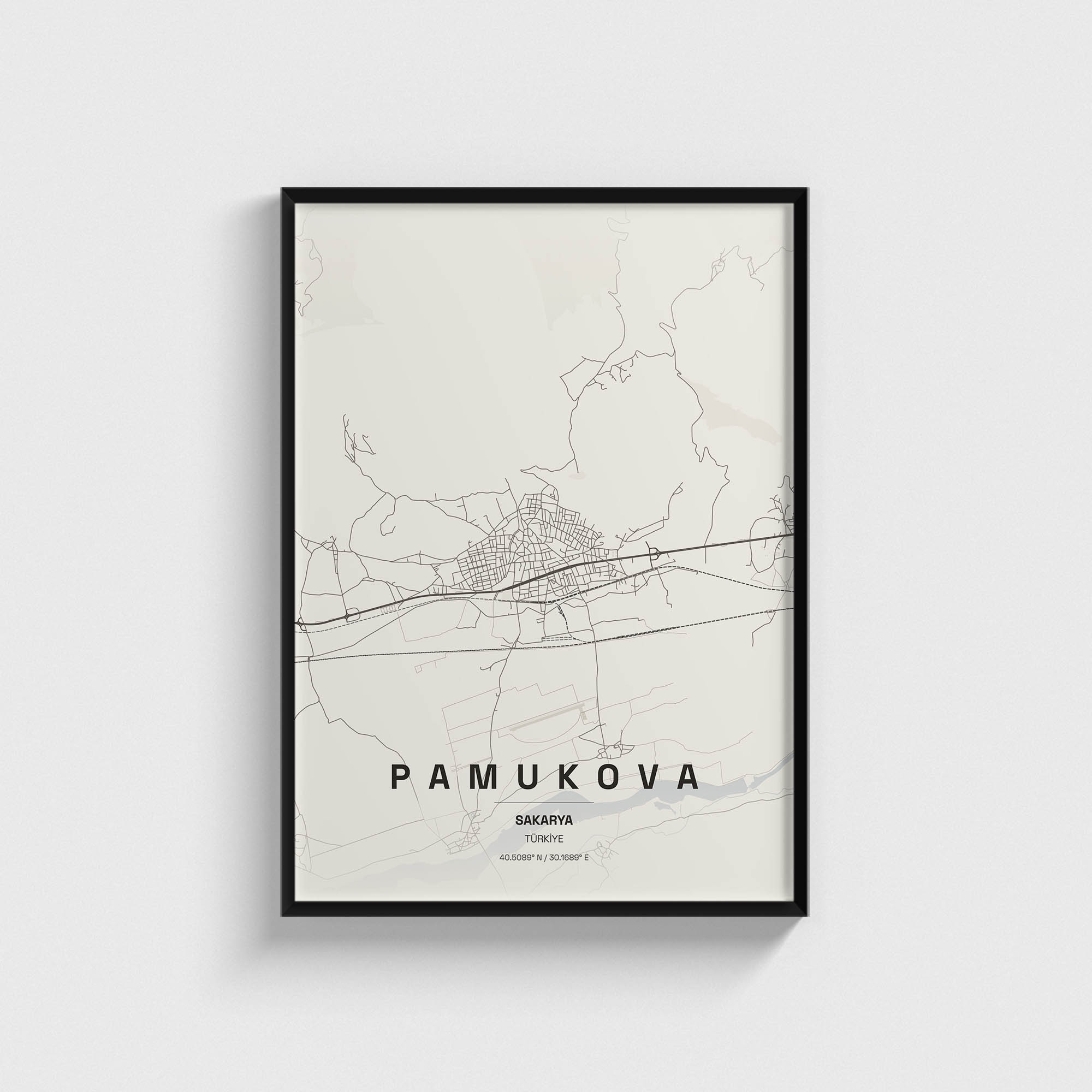 Sakarya Pamukova İlçe Haritası Posteri
