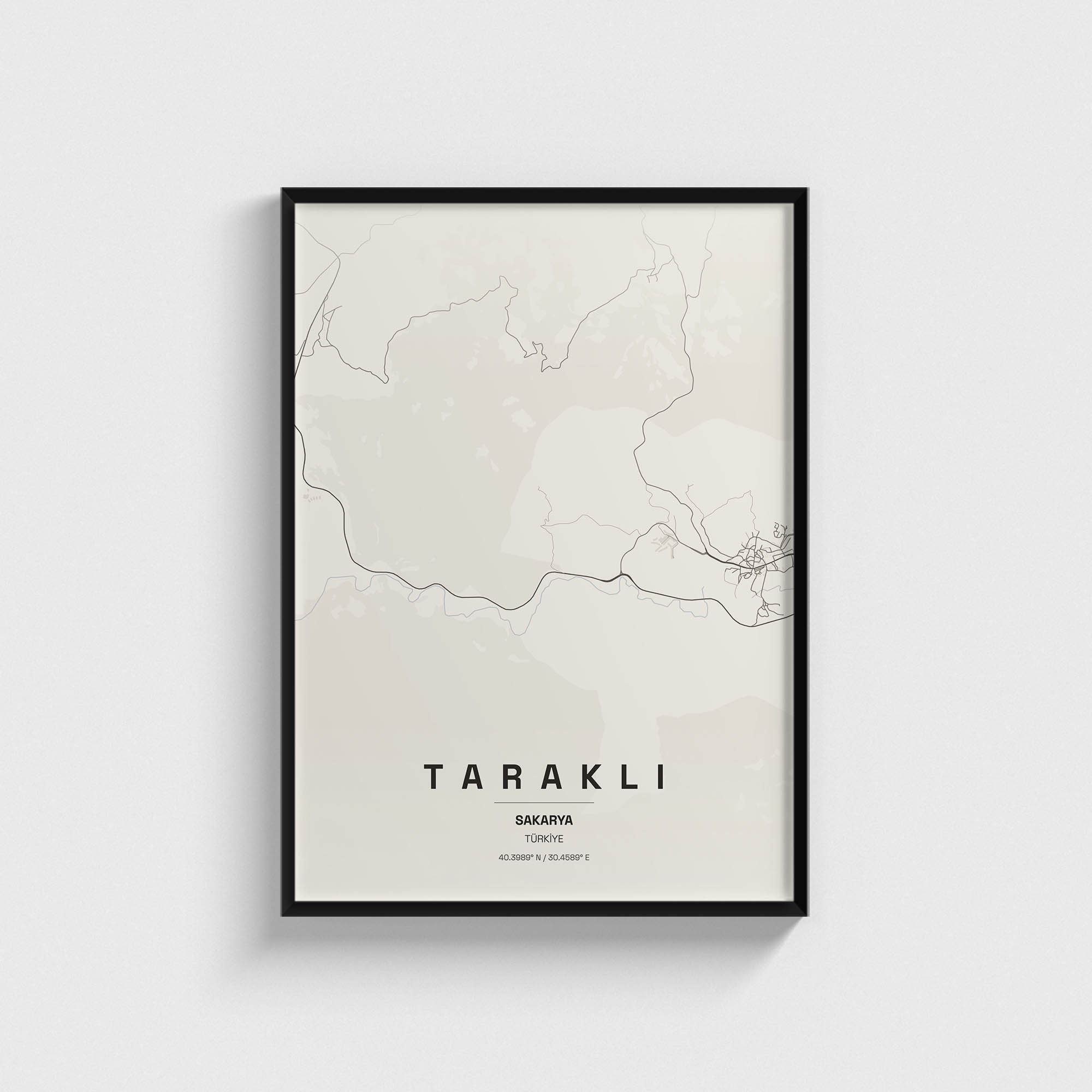 Sakarya Taraklı İlçe Haritası Posteri