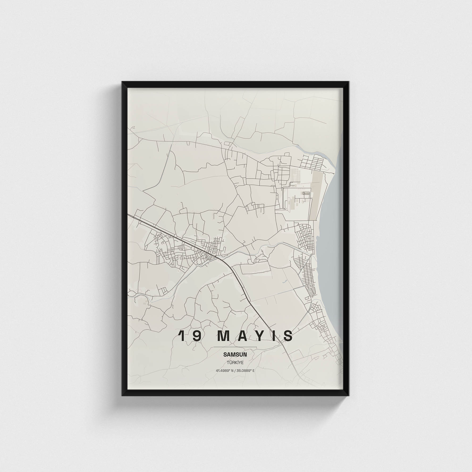 Samsun 19 Mayıs İlçe Haritası Posteri