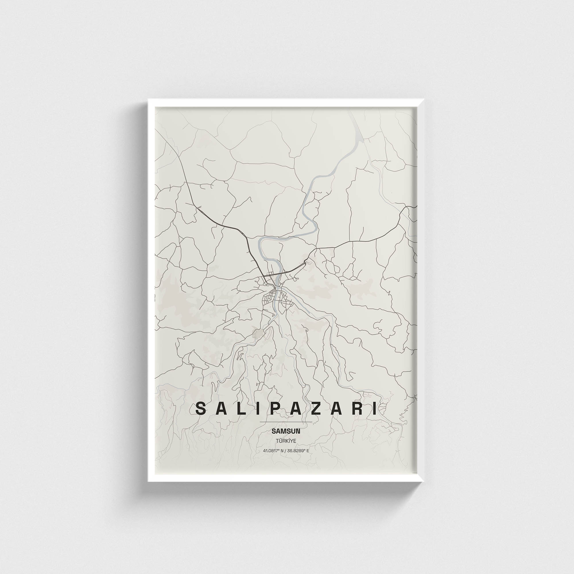 Samsun Salıpazarı İlçe Haritası Posteri - Görsel 2
