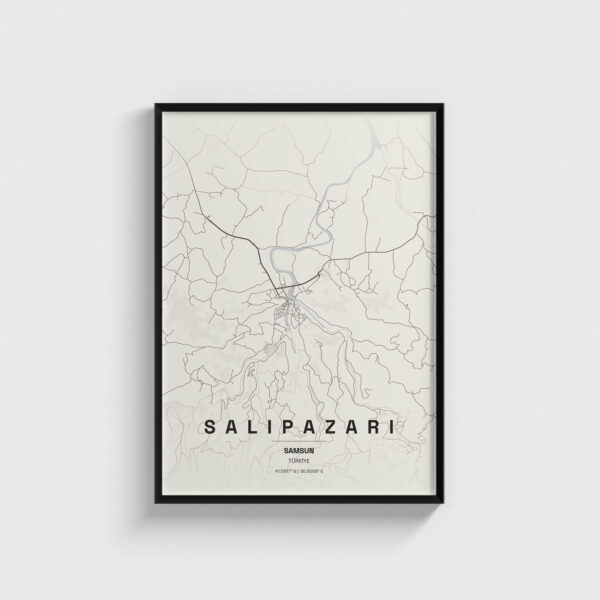 Samsun Salıpazarı İlçe Haritası Posteri