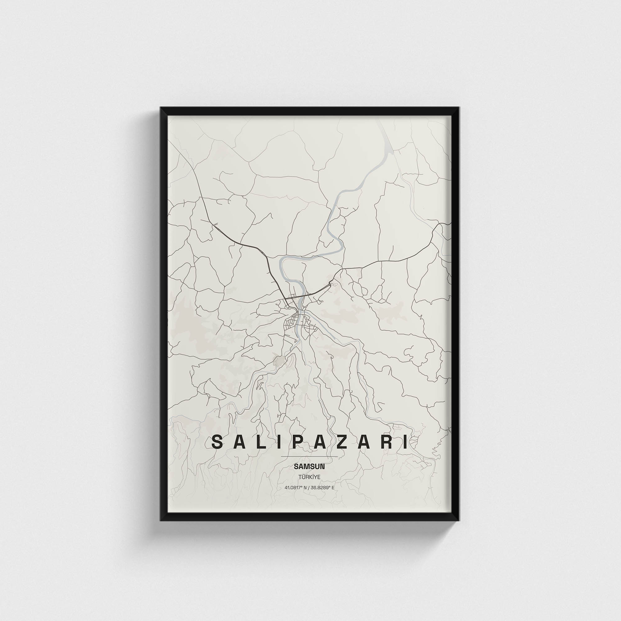 Samsun Salıpazarı İlçe Haritası Posteri