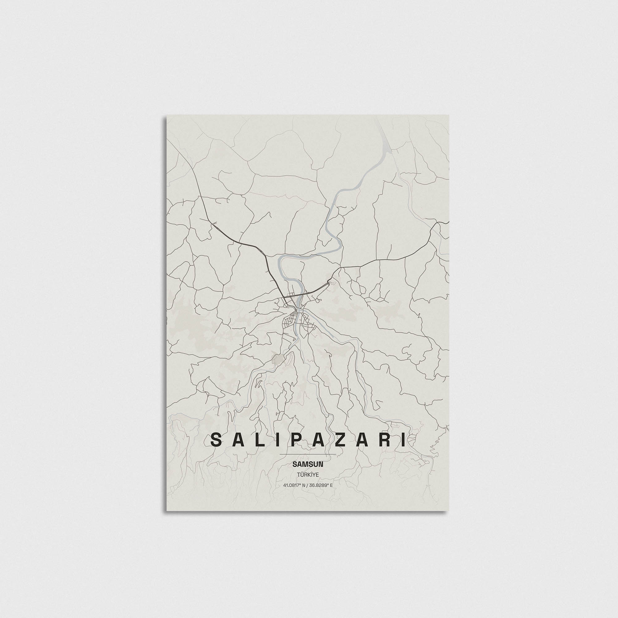 Samsun Salıpazarı İlçe Haritası Posteri - Görsel 3