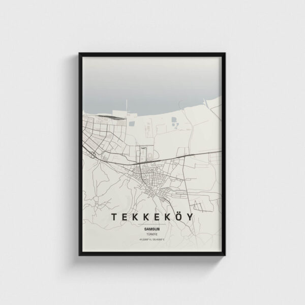 Samsun Tekkeköy İlçe Haritası Posteri