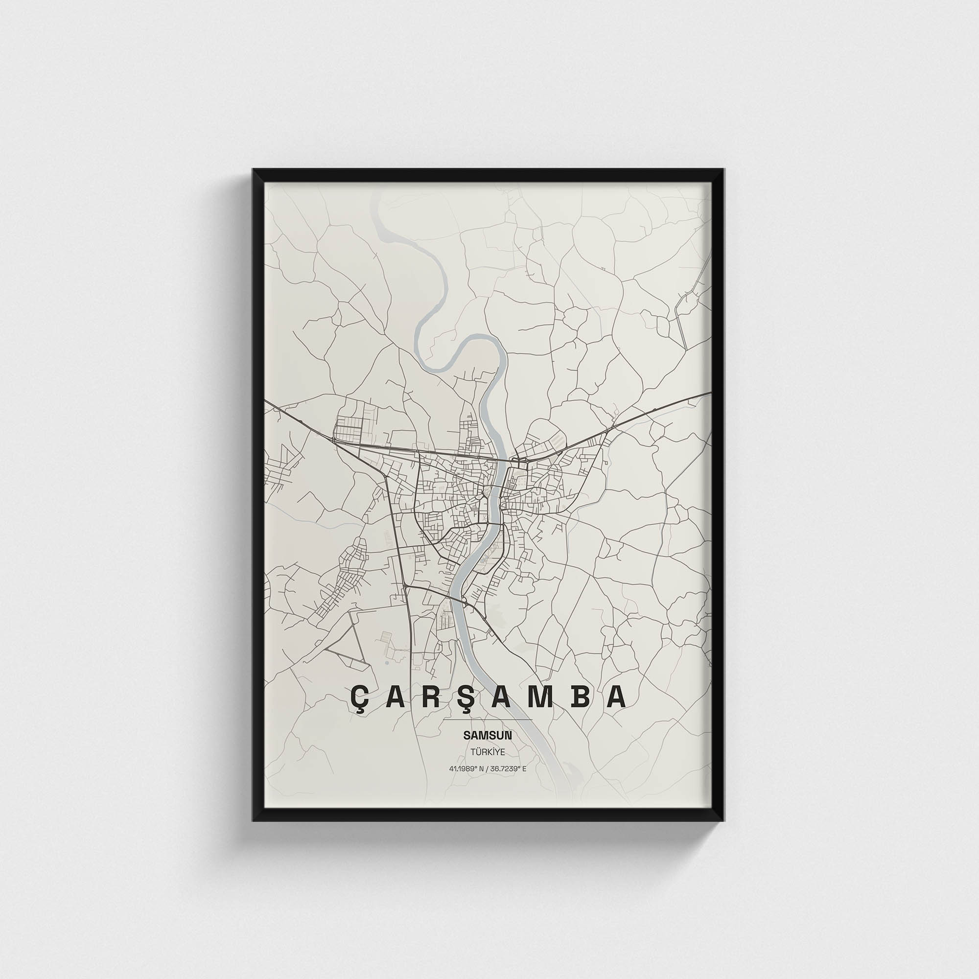 Samsun Çarşamba İlçe Haritası Posteri