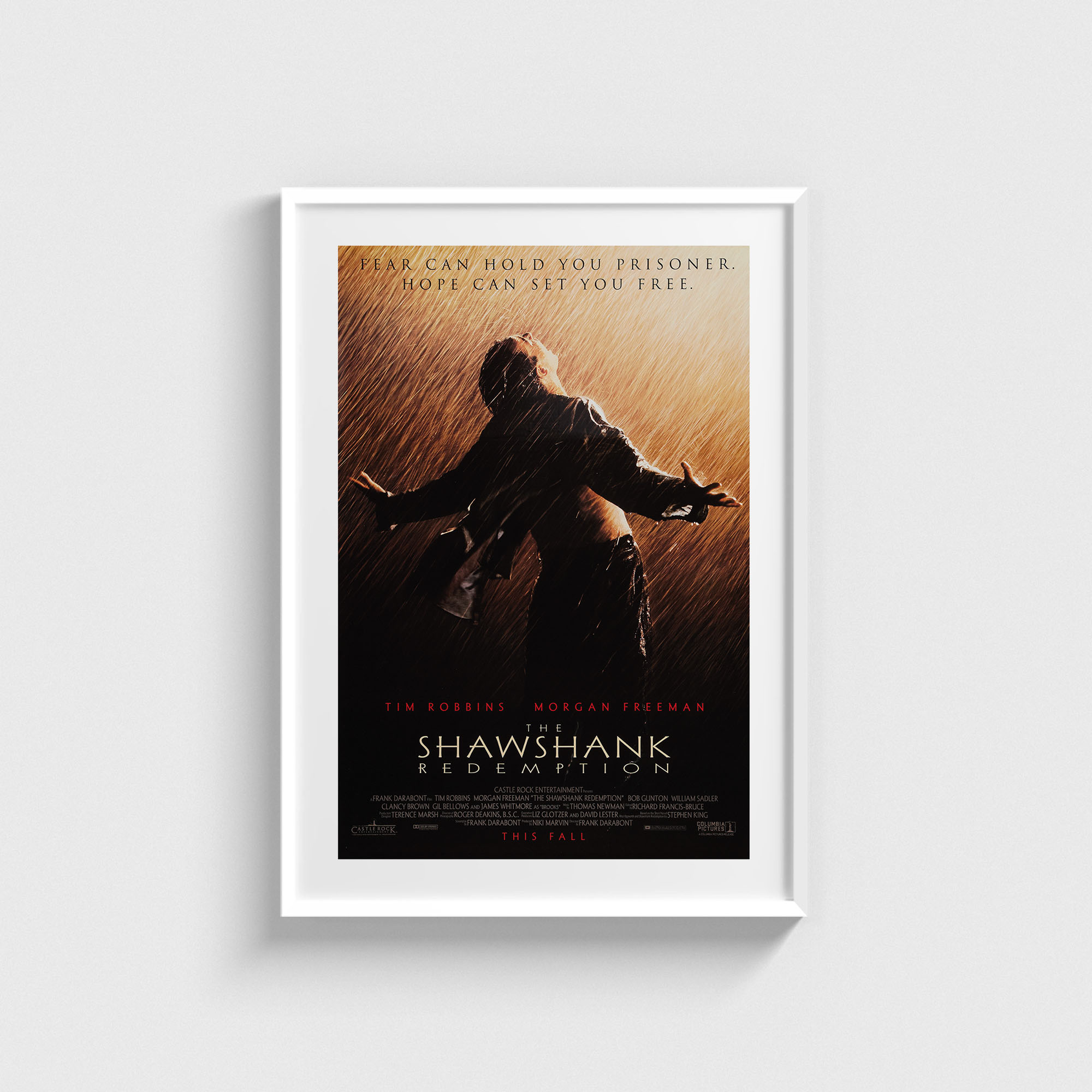 The Shawshank Redemption (1994) Film Posteri - Görsel 2