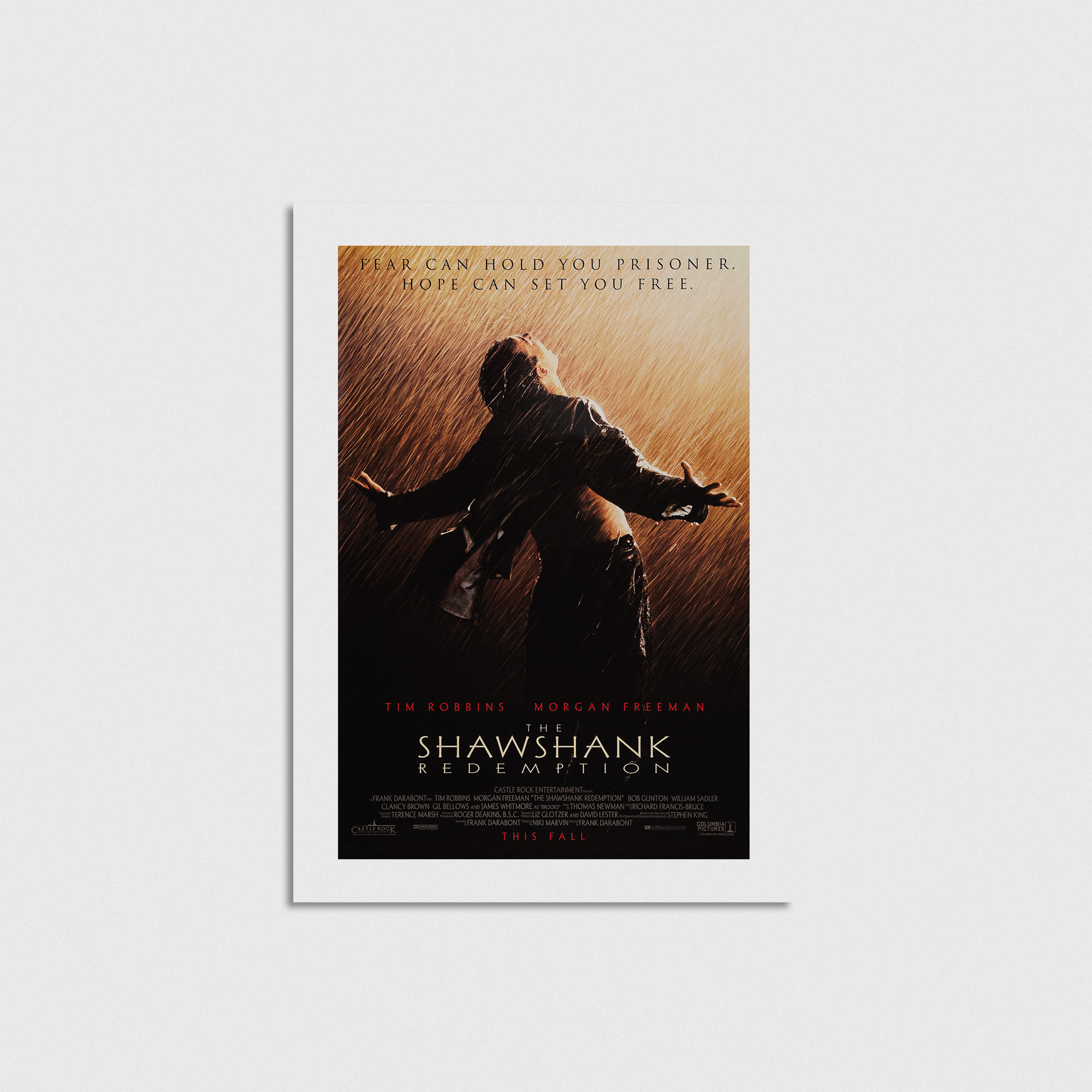 The Shawshank Redemption (1994) Film Posteri - Görsel 3