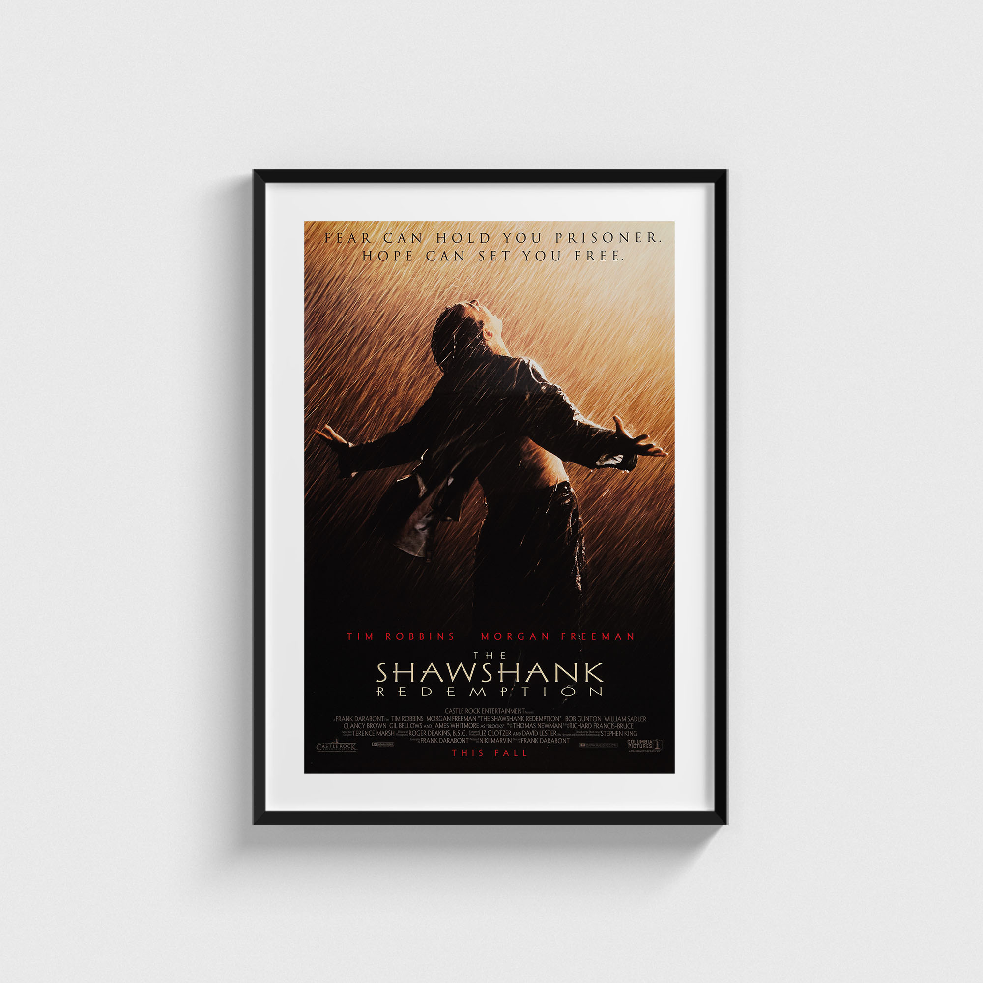 The Shawshank Redemption (1994) Film Posteri