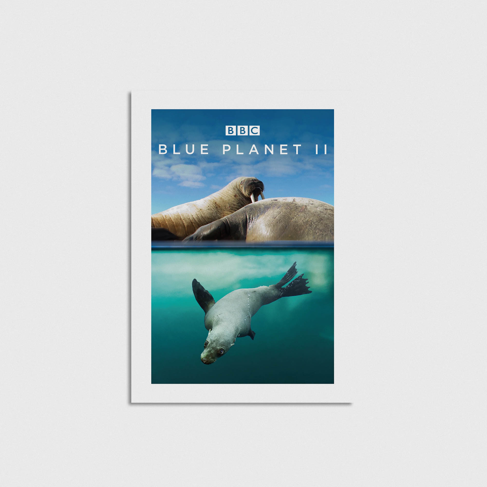 Blue Planet 2 Dizi Posteri - Görsel 3