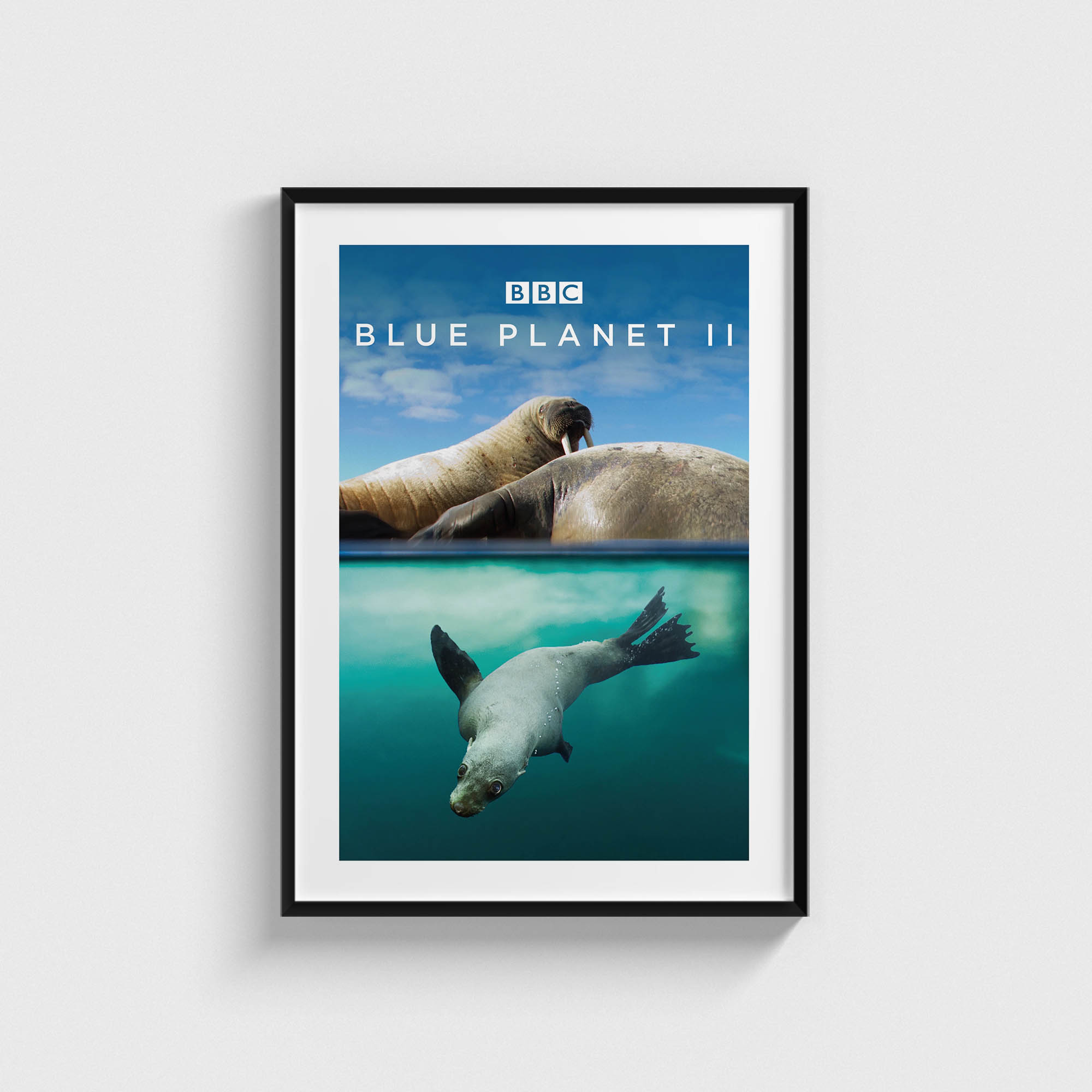 Blue Planet 2 Dizi Posteri
