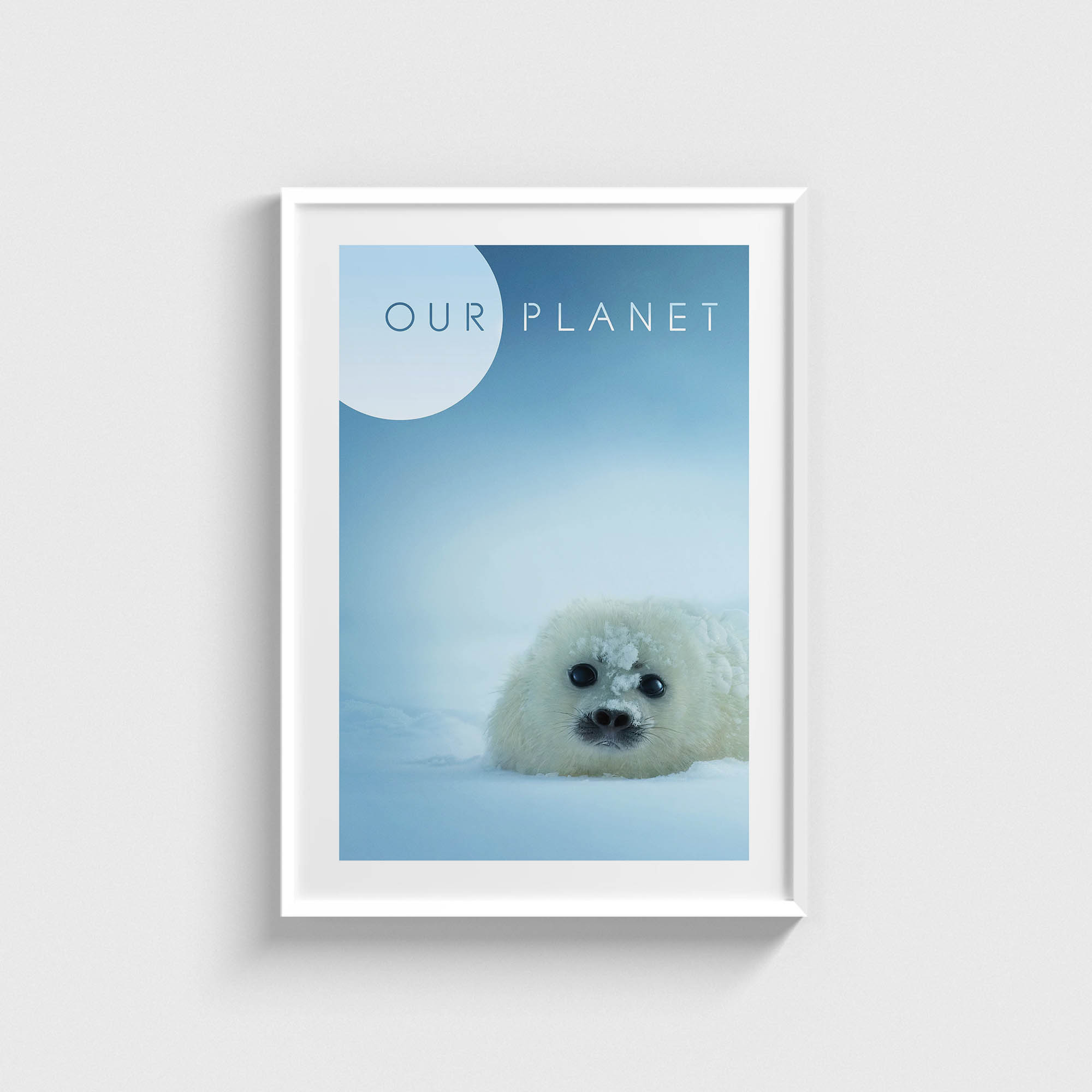 Our Planet Dizi Posteri - Görsel 2