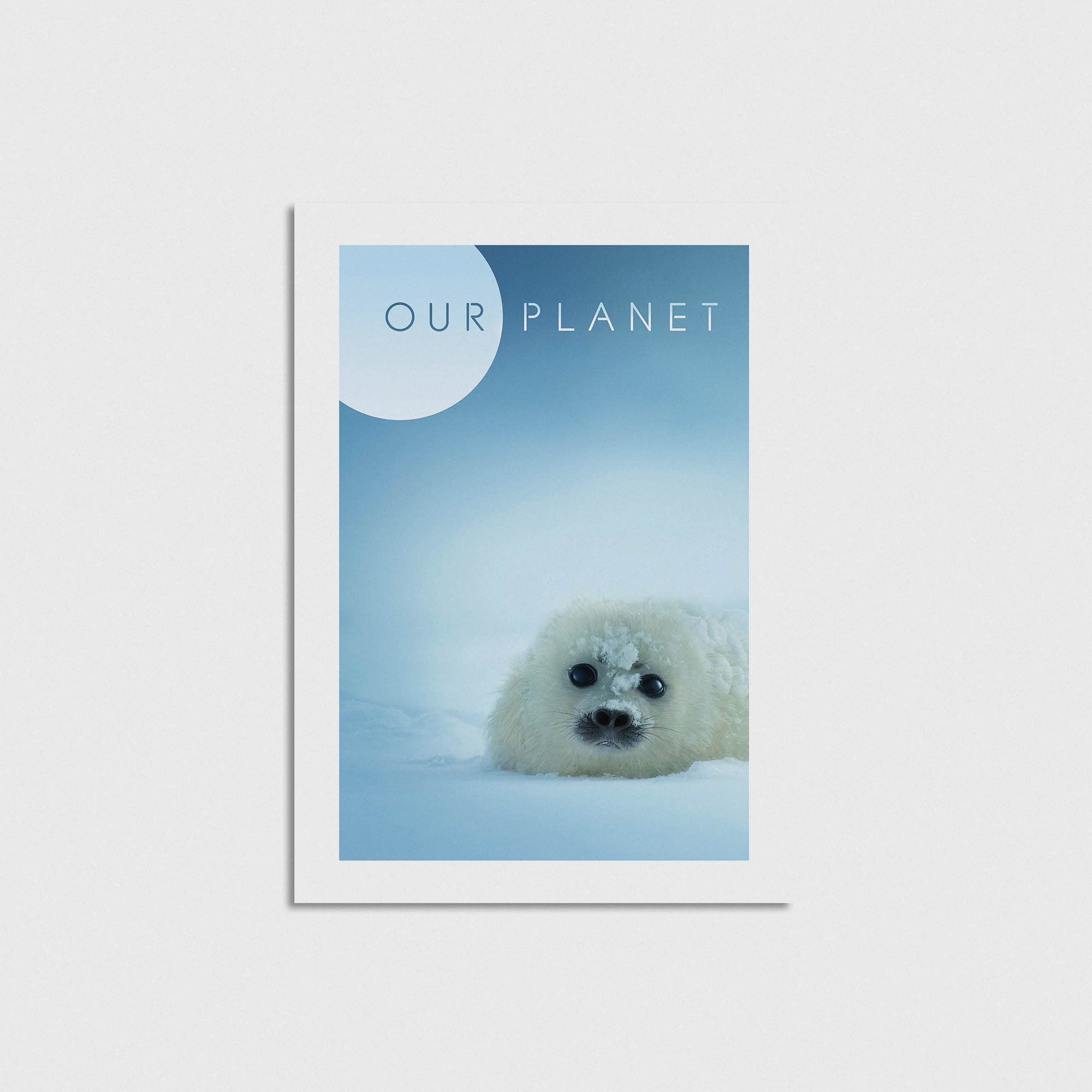 Our Planet Dizi Posteri - Görsel 3