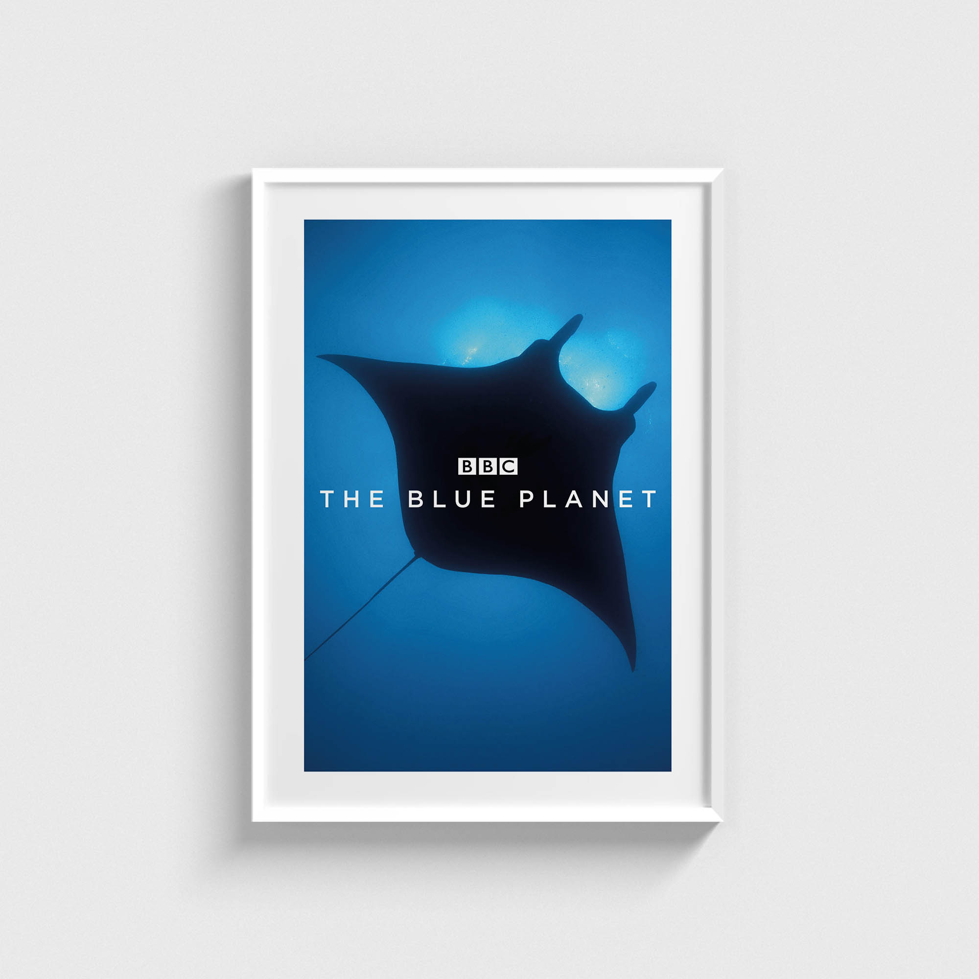 The Blue Planet Dizi Posteri - Görsel 2