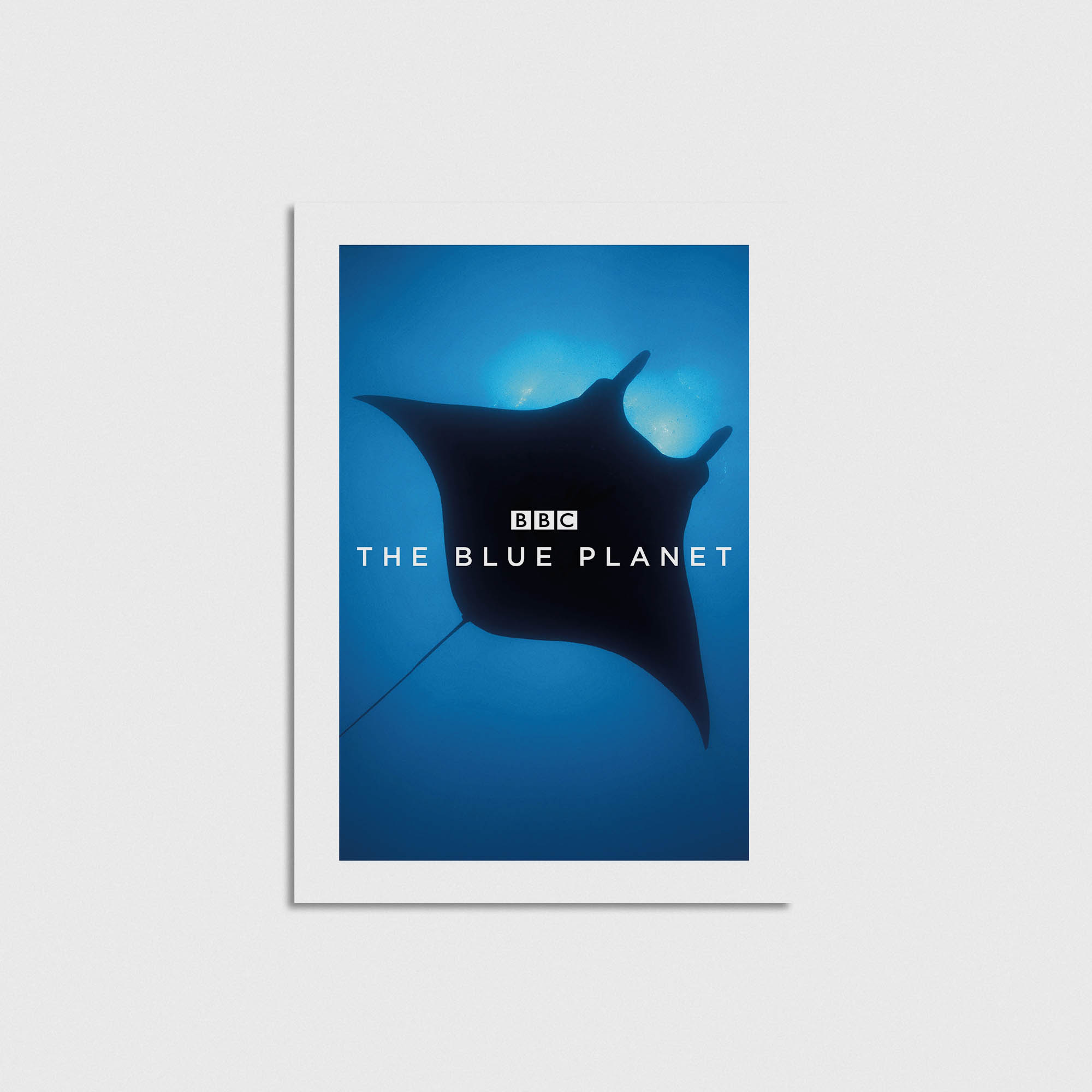 The Blue Planet Dizi Posteri - Görsel 3