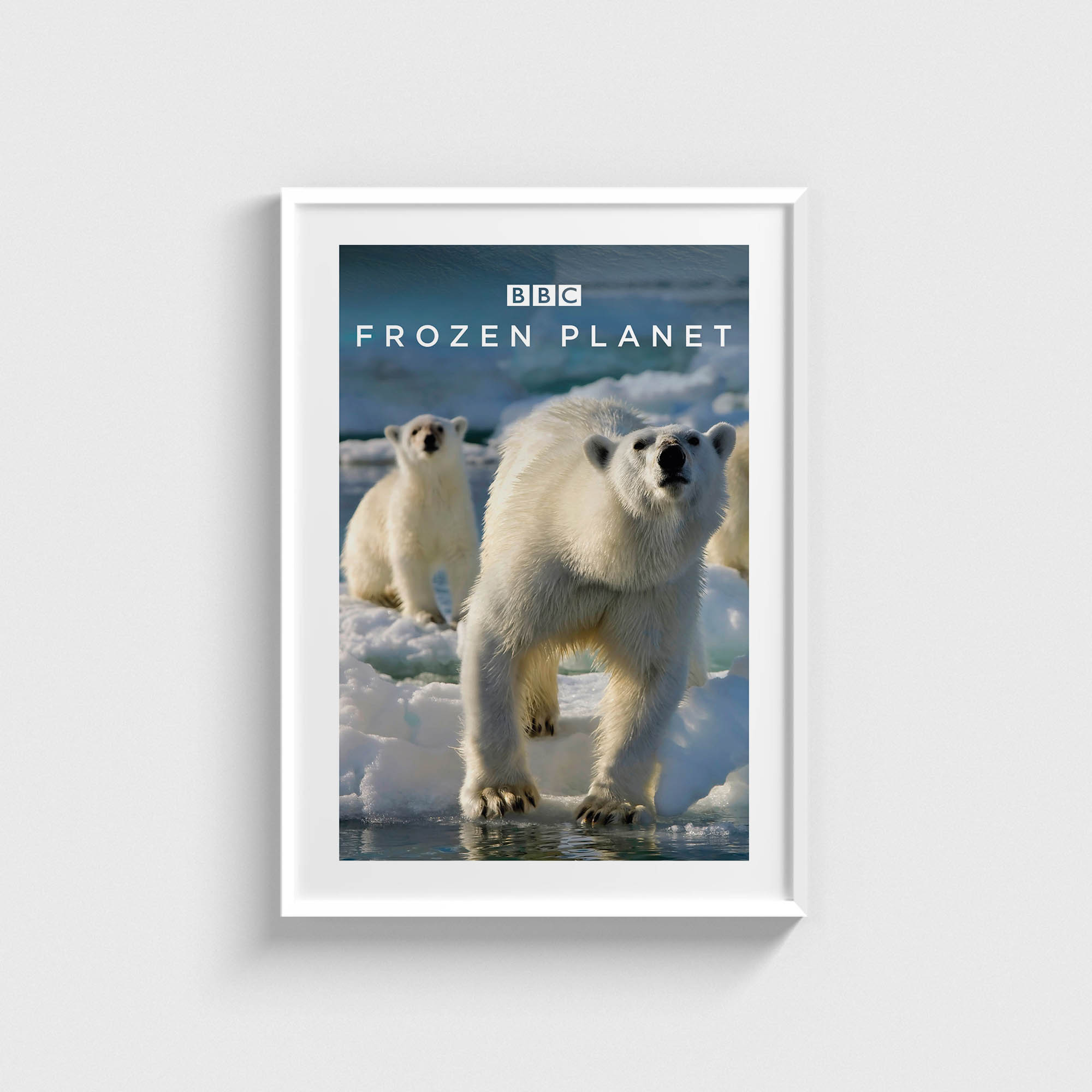 Frozen Planet Dizi Posteri - Görsel 2