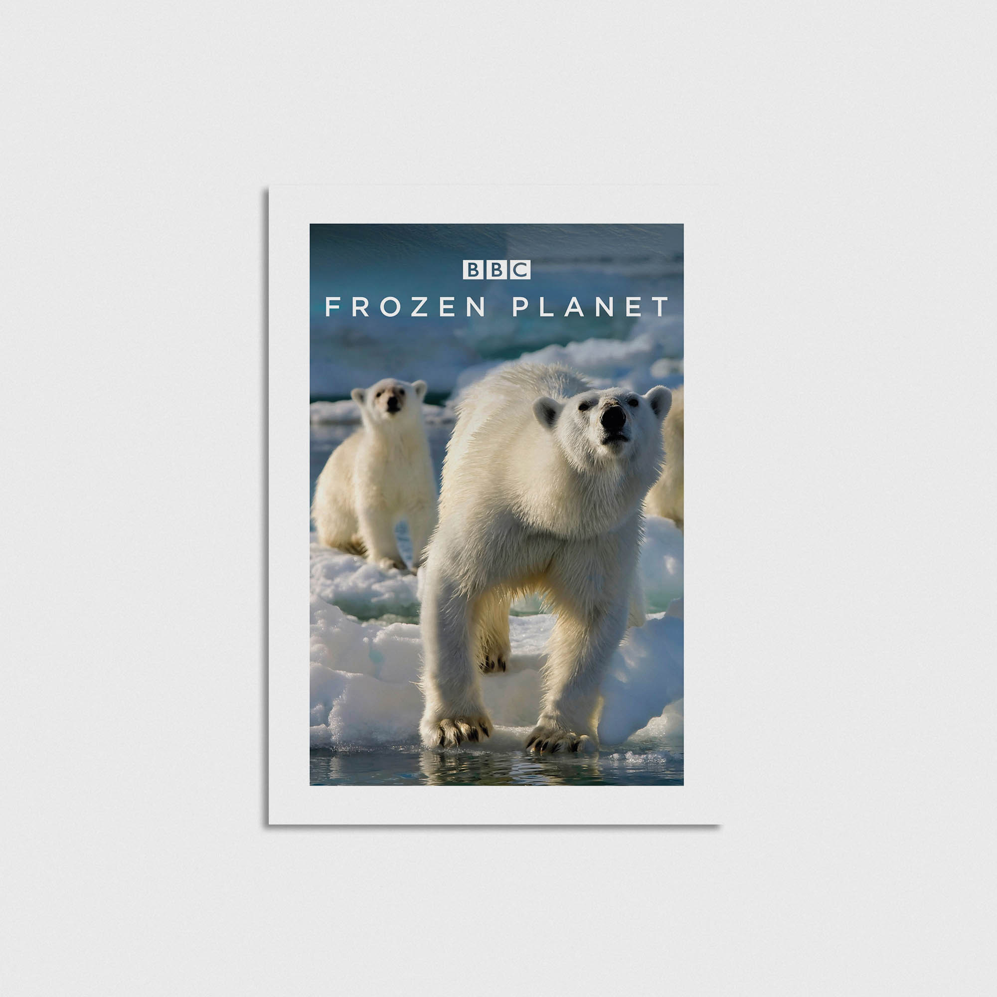 Frozen Planet Dizi Posteri - Görsel 3