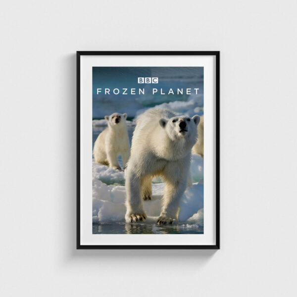 Frozen Planet Dizi Posteri