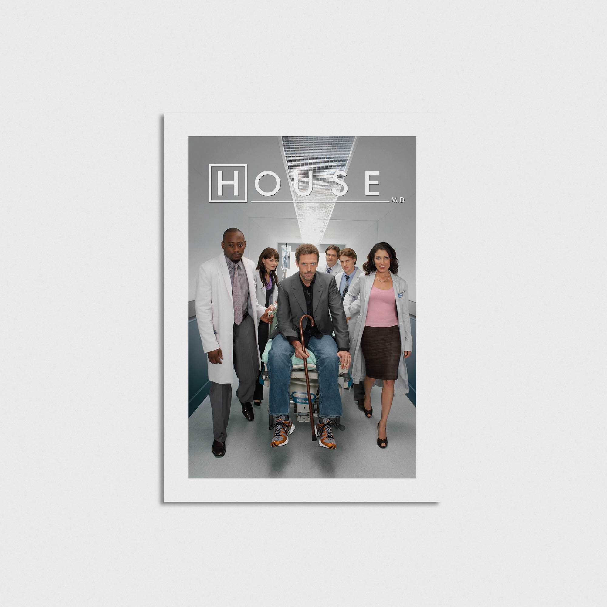 House Dizi Posteri - Görsel 3