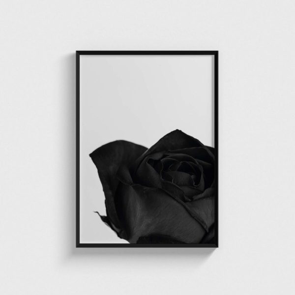 Black Rose modern posteri, siyah çerçeveli tablo